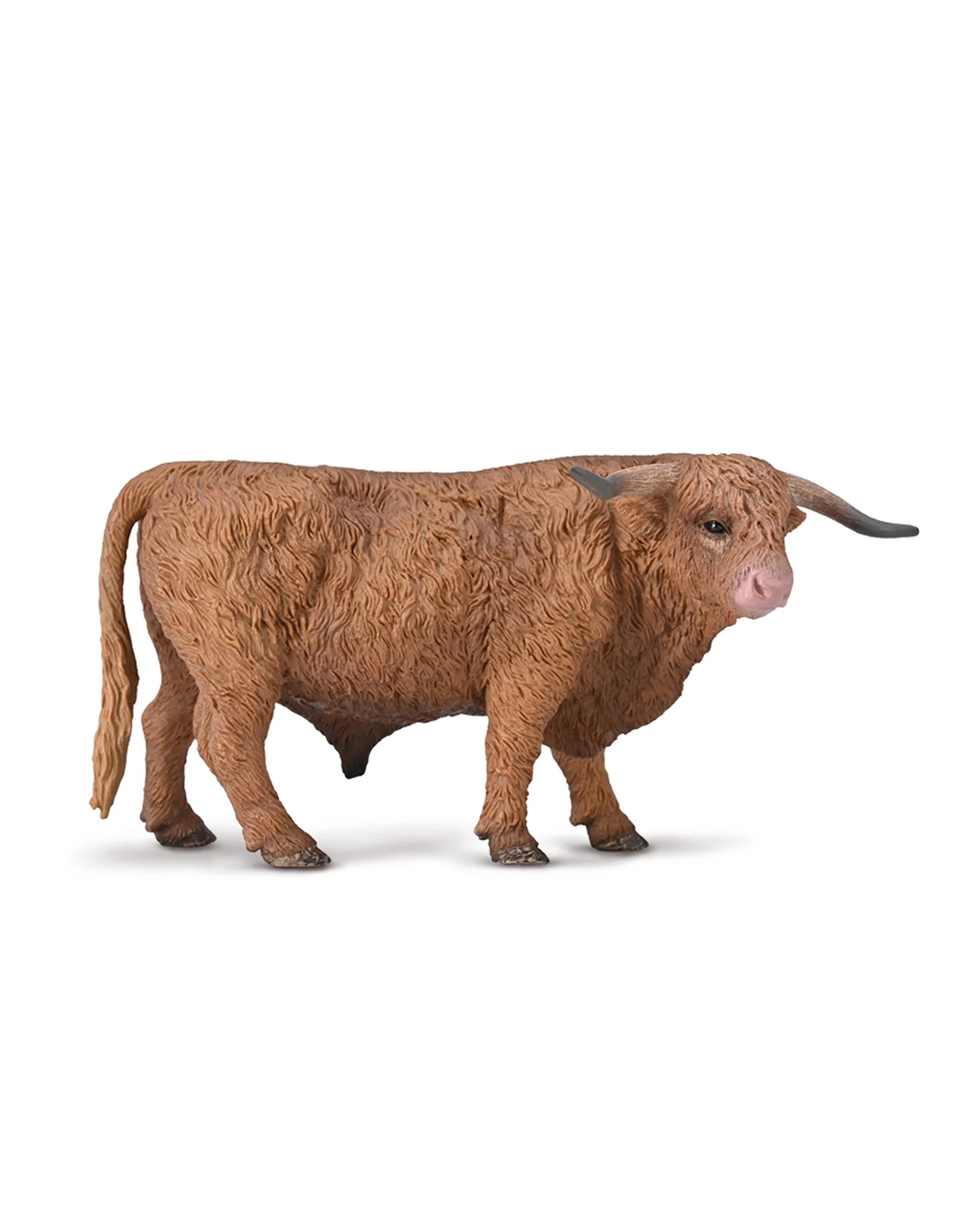 CollectA L Highland Bull