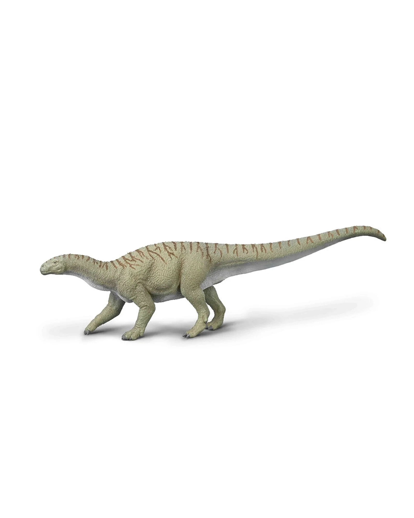 Collecta Ingentia Prima