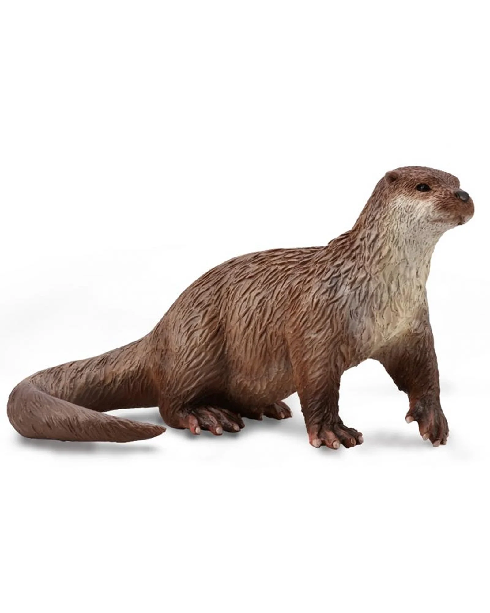 CollectA Otter Medium
