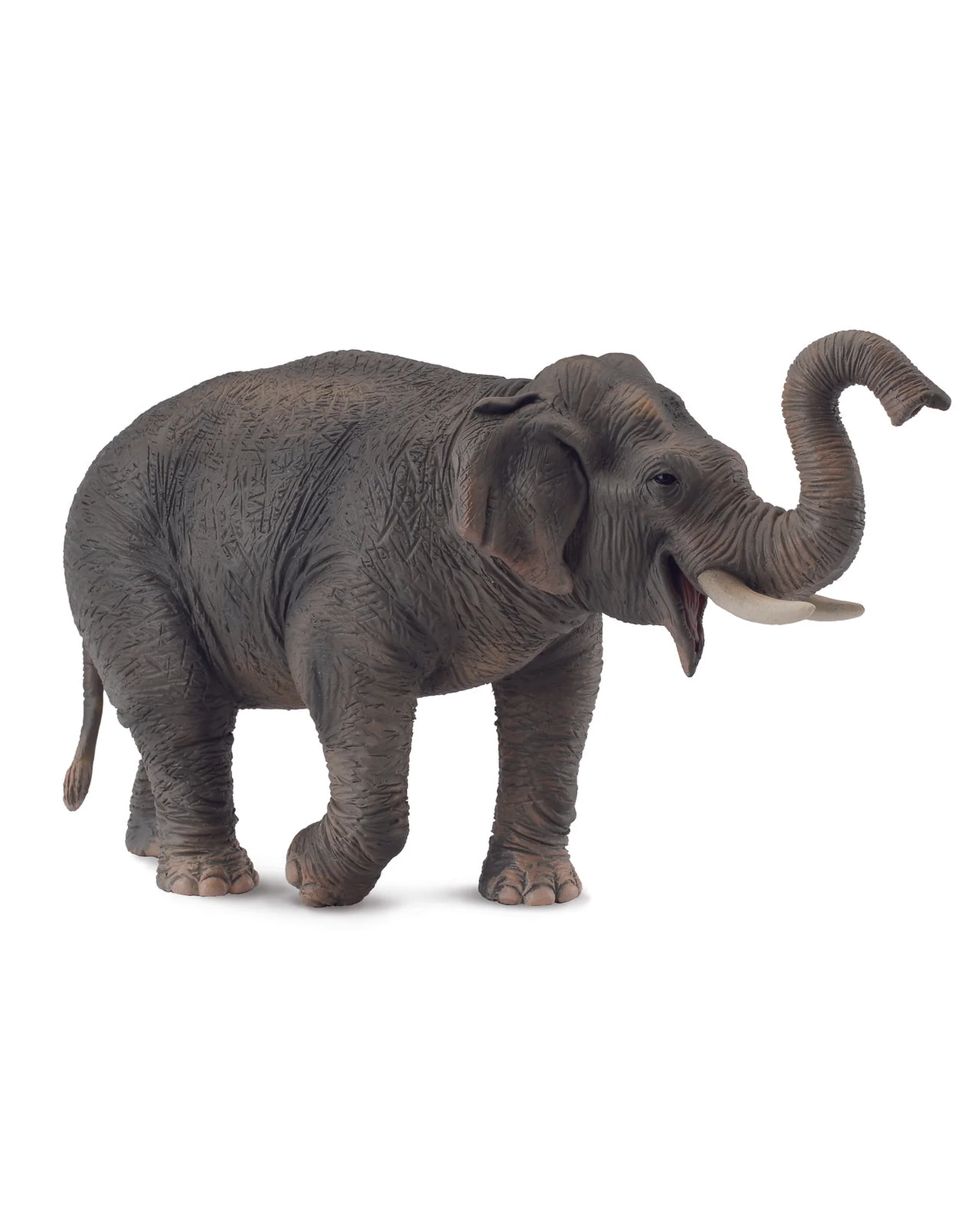 CollectA XL Asian Elephant