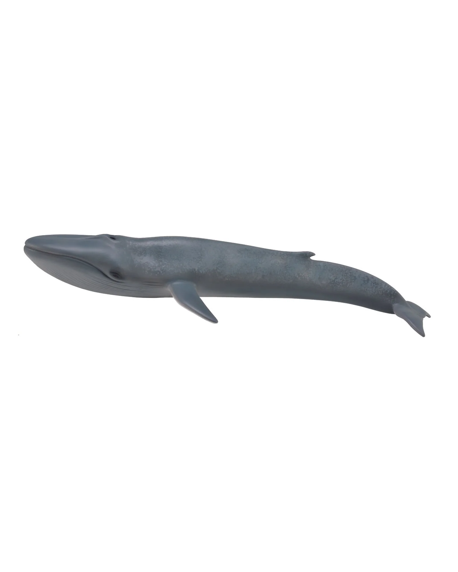 CollectA XL Blue Whale