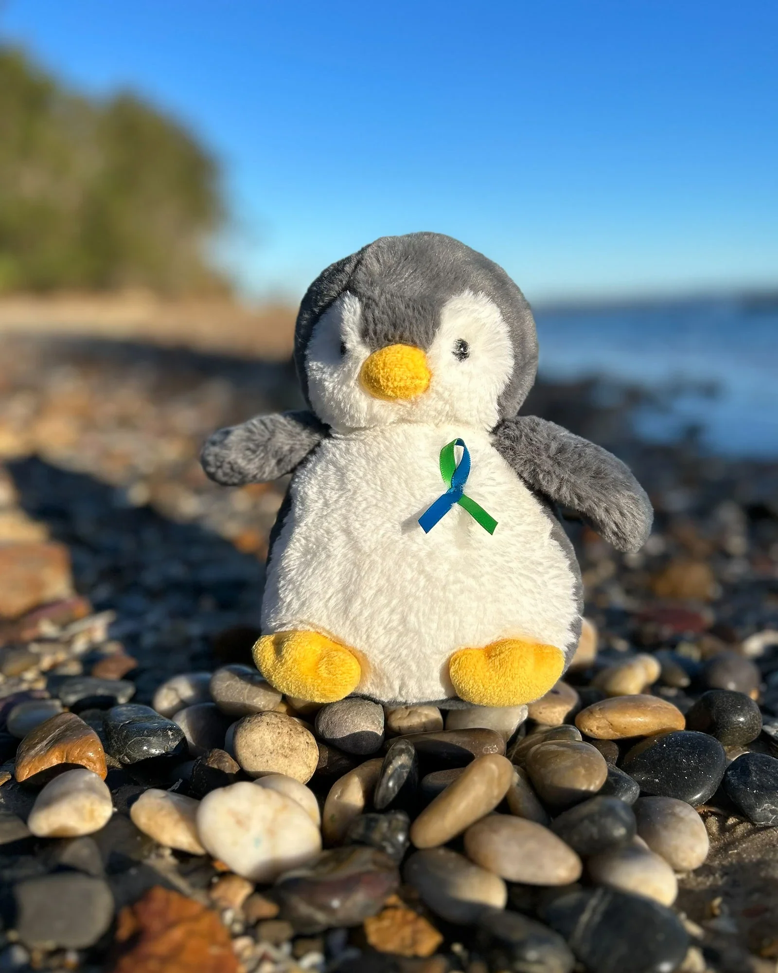 Childrens Tumour Foundation - Pebbles Penguin - Image 3