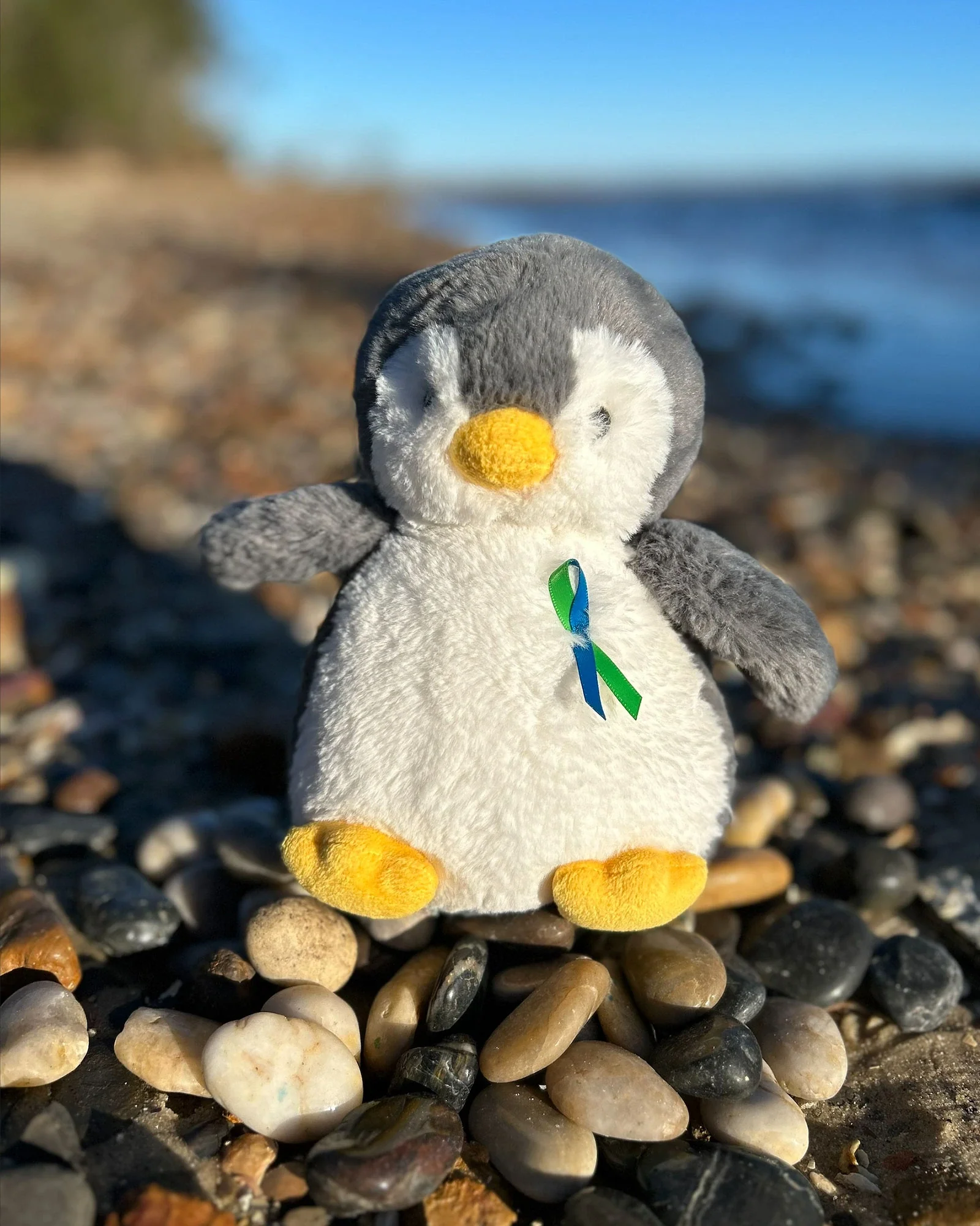 Childrens Tumour Foundation - Pebbles Penguin - Image 4