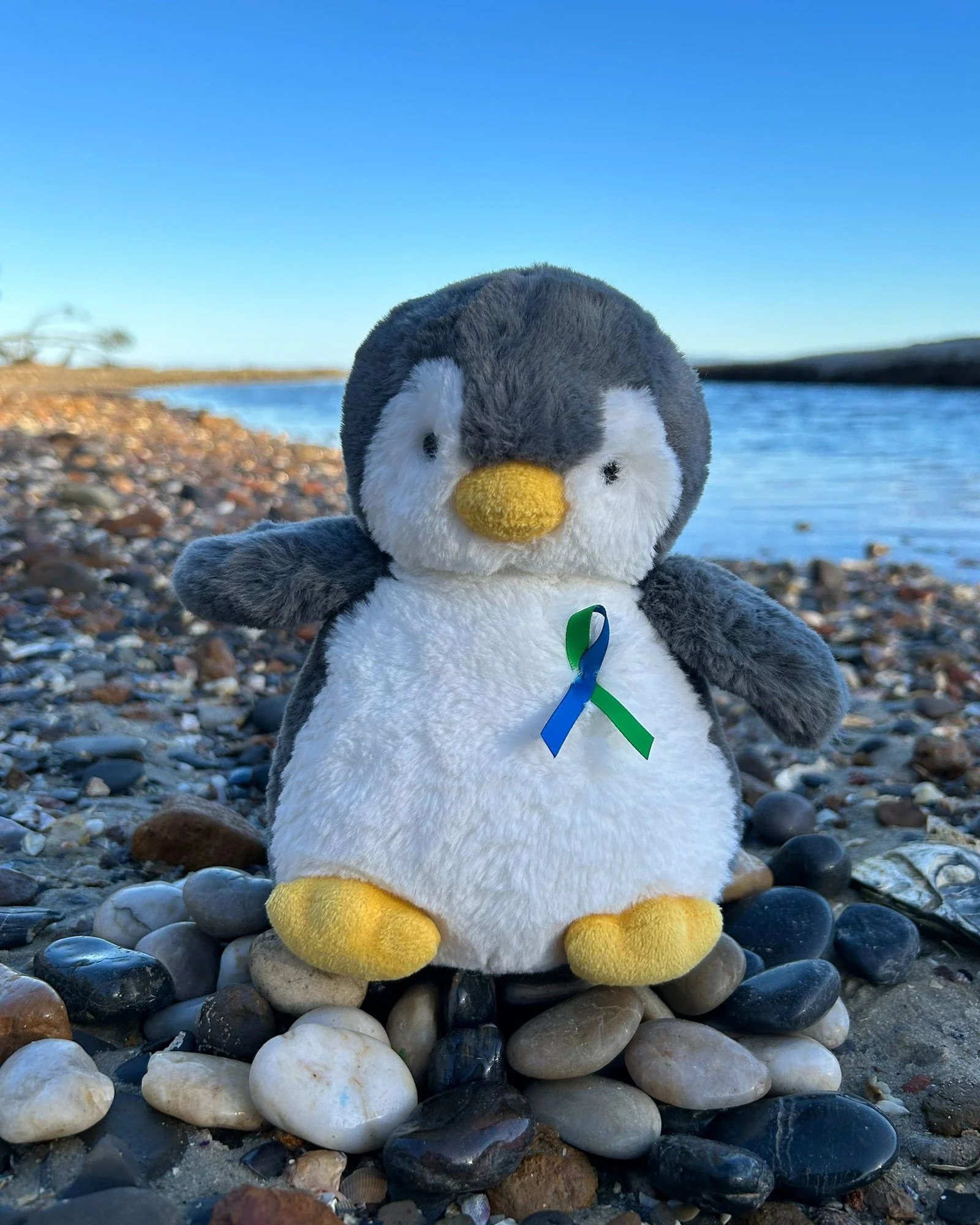 Childrens Tumour Foundation - Pebbles Penguin - Image 5