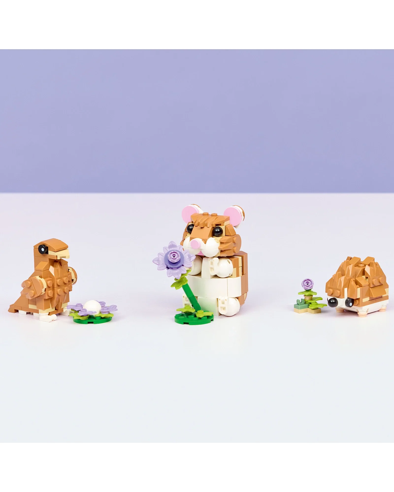 31376 Cute Hamster with a Flower - Image 4