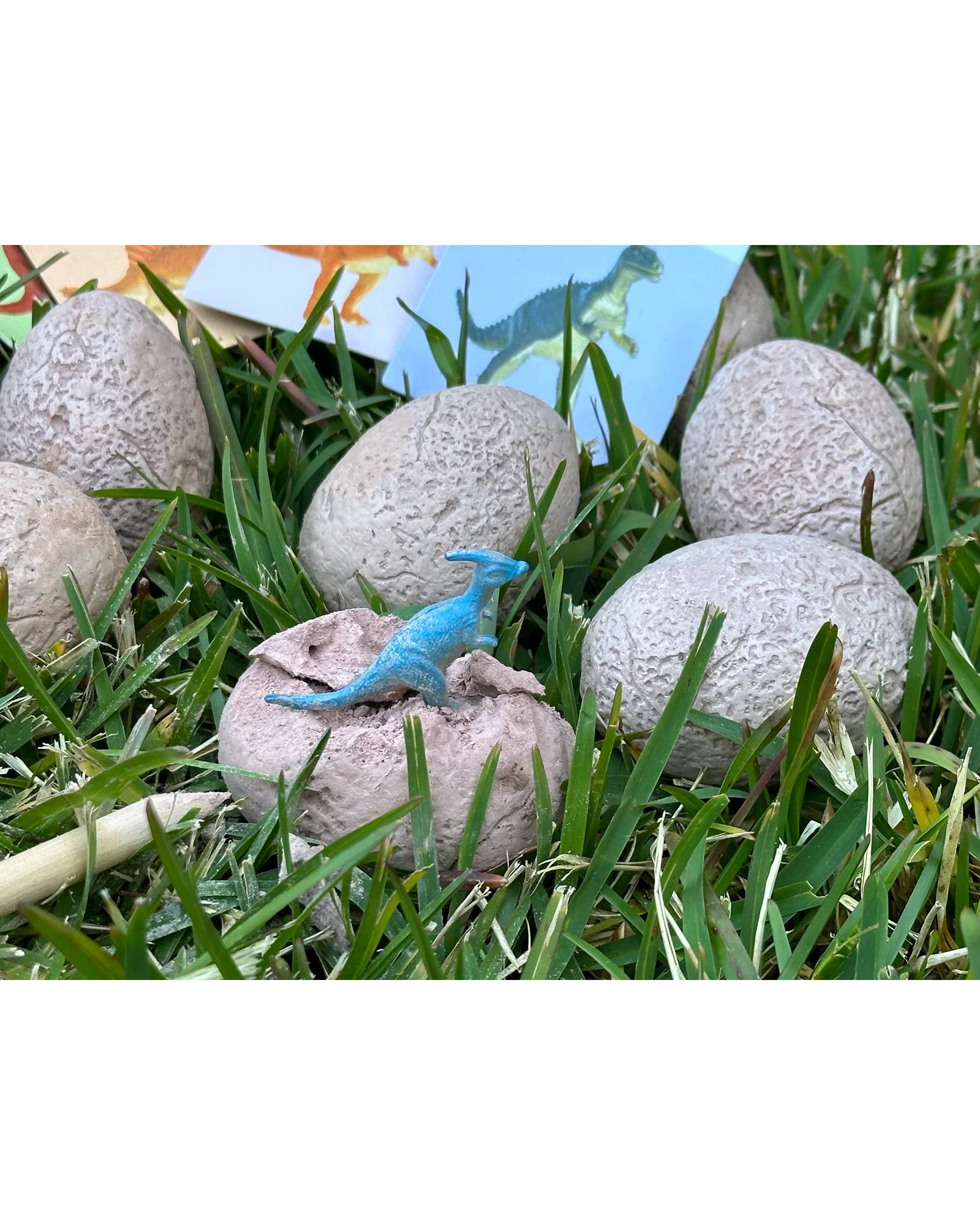 Dig & Discover Dinosaur Eggs - Image 4