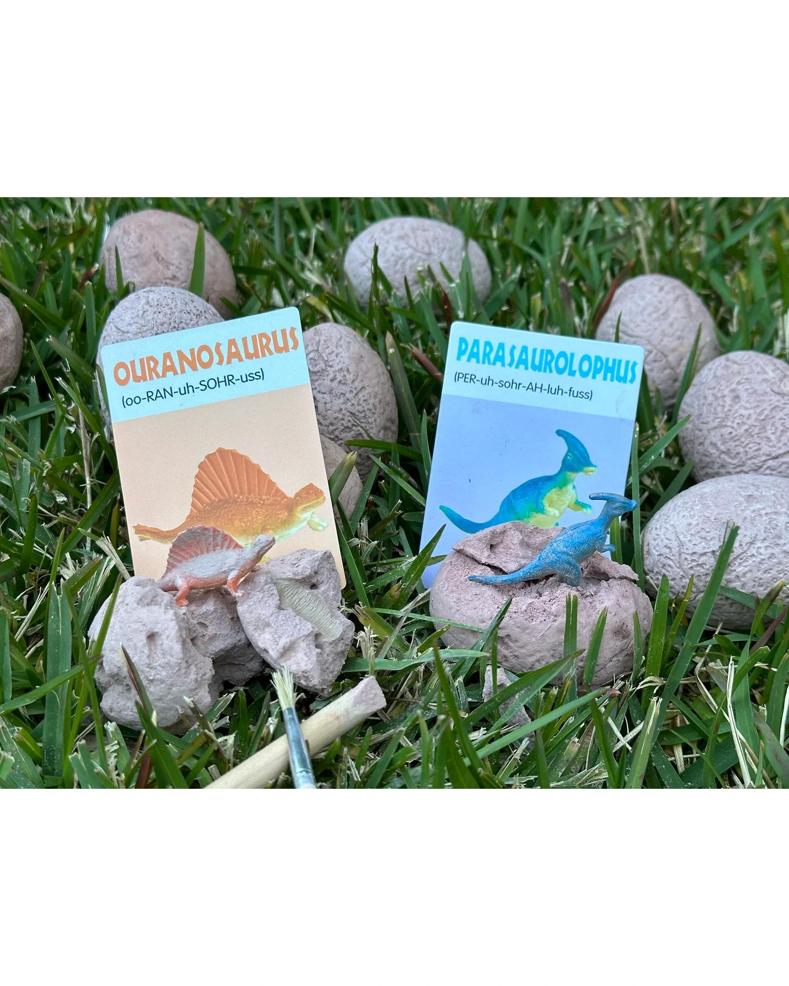 Dig & Discover Dinosaur Eggs - Image 5