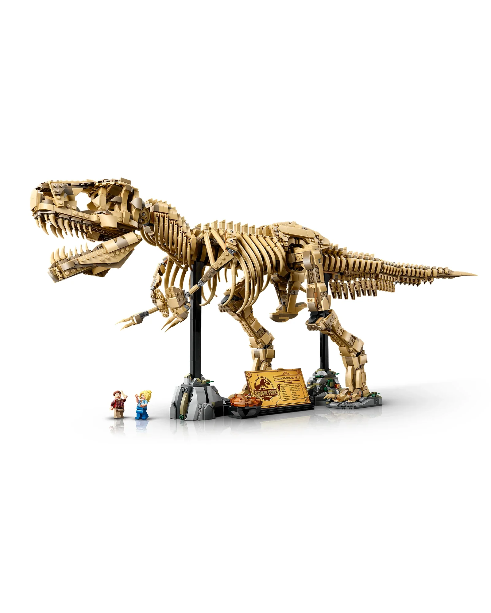 76968 Dinosaur Fossils: Tyrannosaurus rex - Image 7