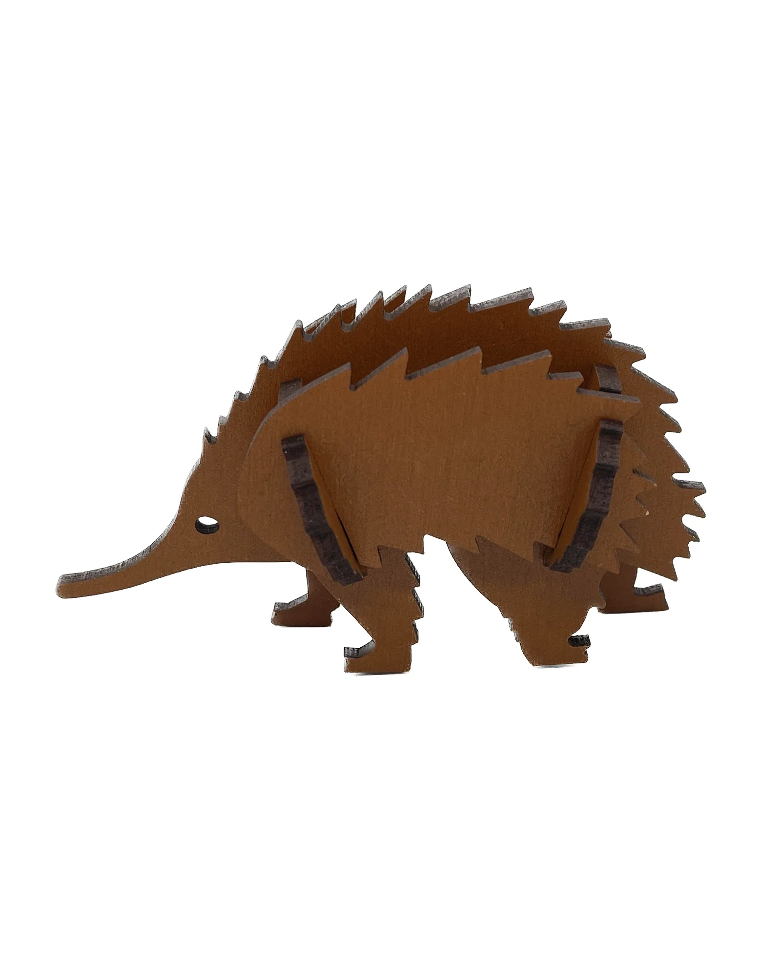 Echidna A6