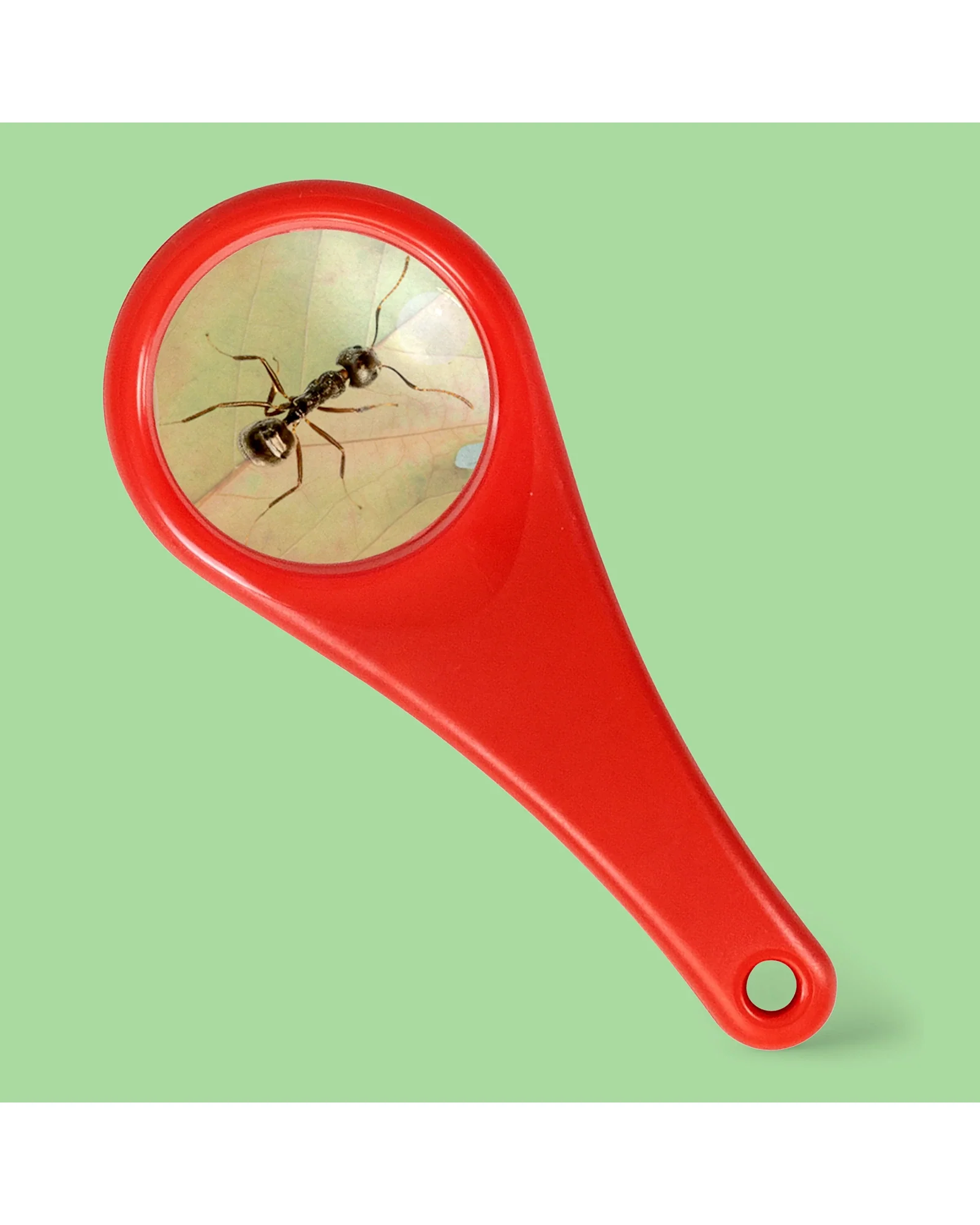 Explorer Magnifying Glass - Image 6