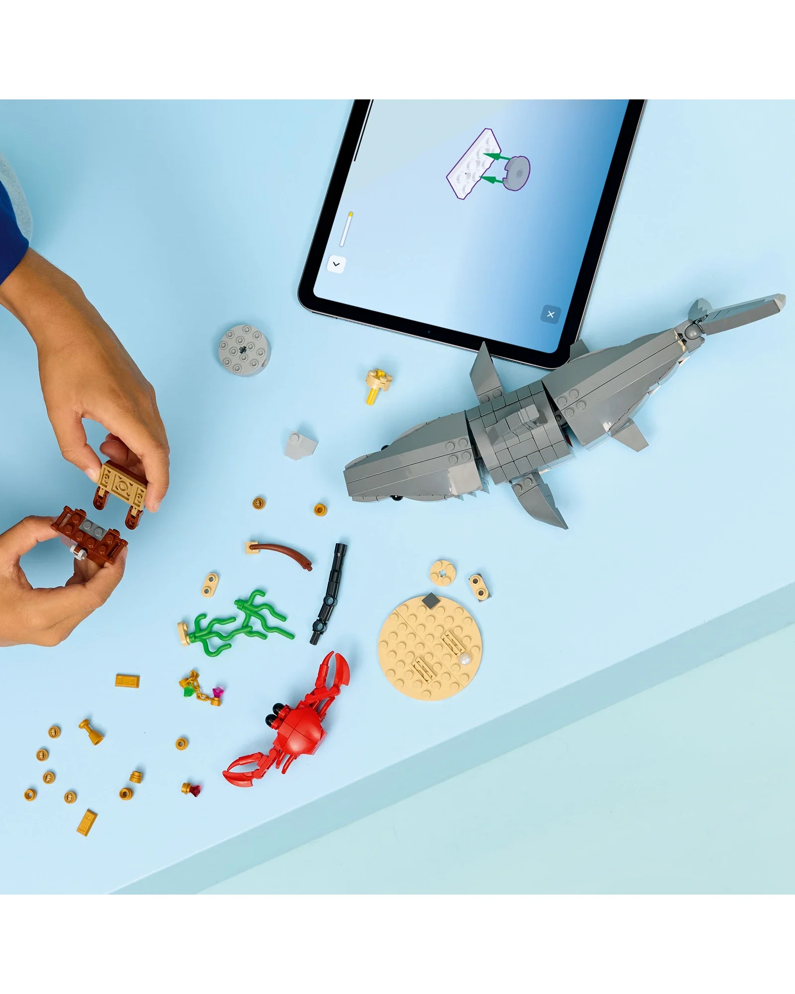 31381 Fierce Shark with a Treasure Chest - Image 3