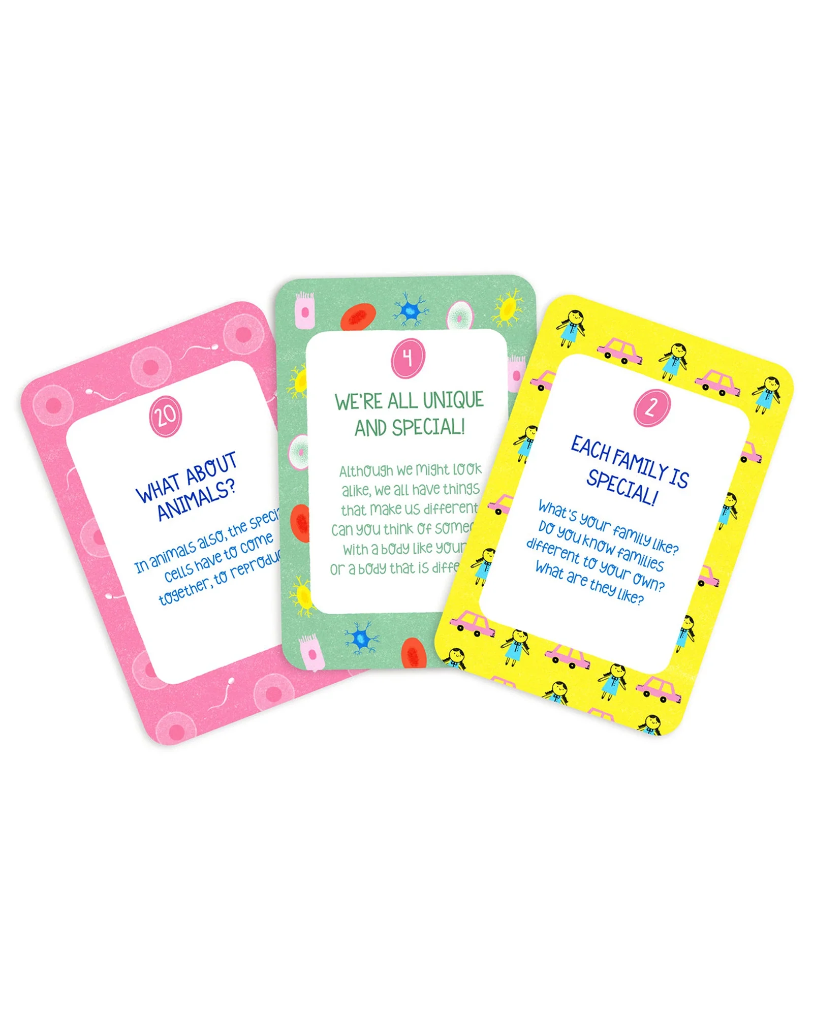 Flashcards - My Body My Rules - Image 2