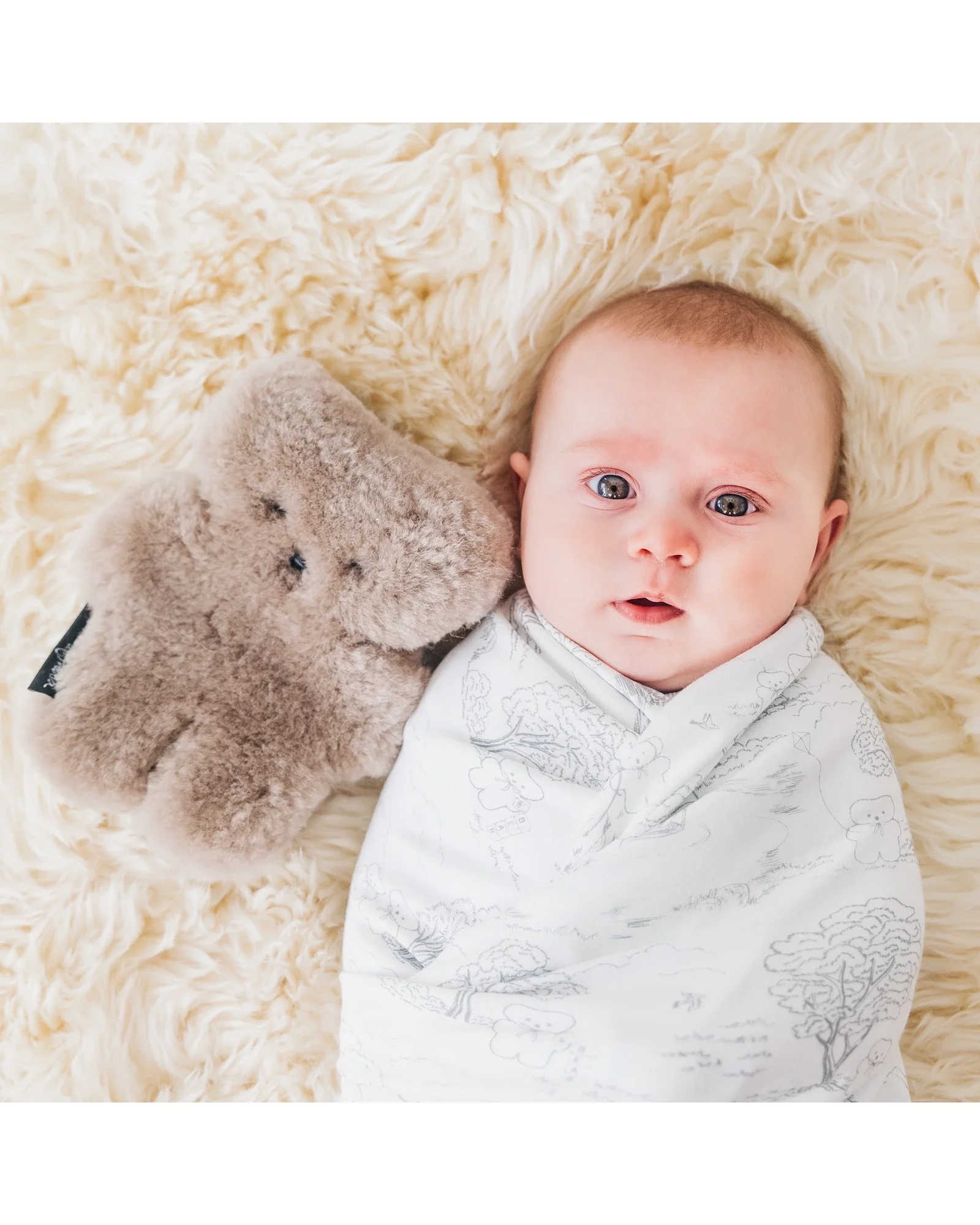 FLATOUTbear Baby Chocolate - Image 2
