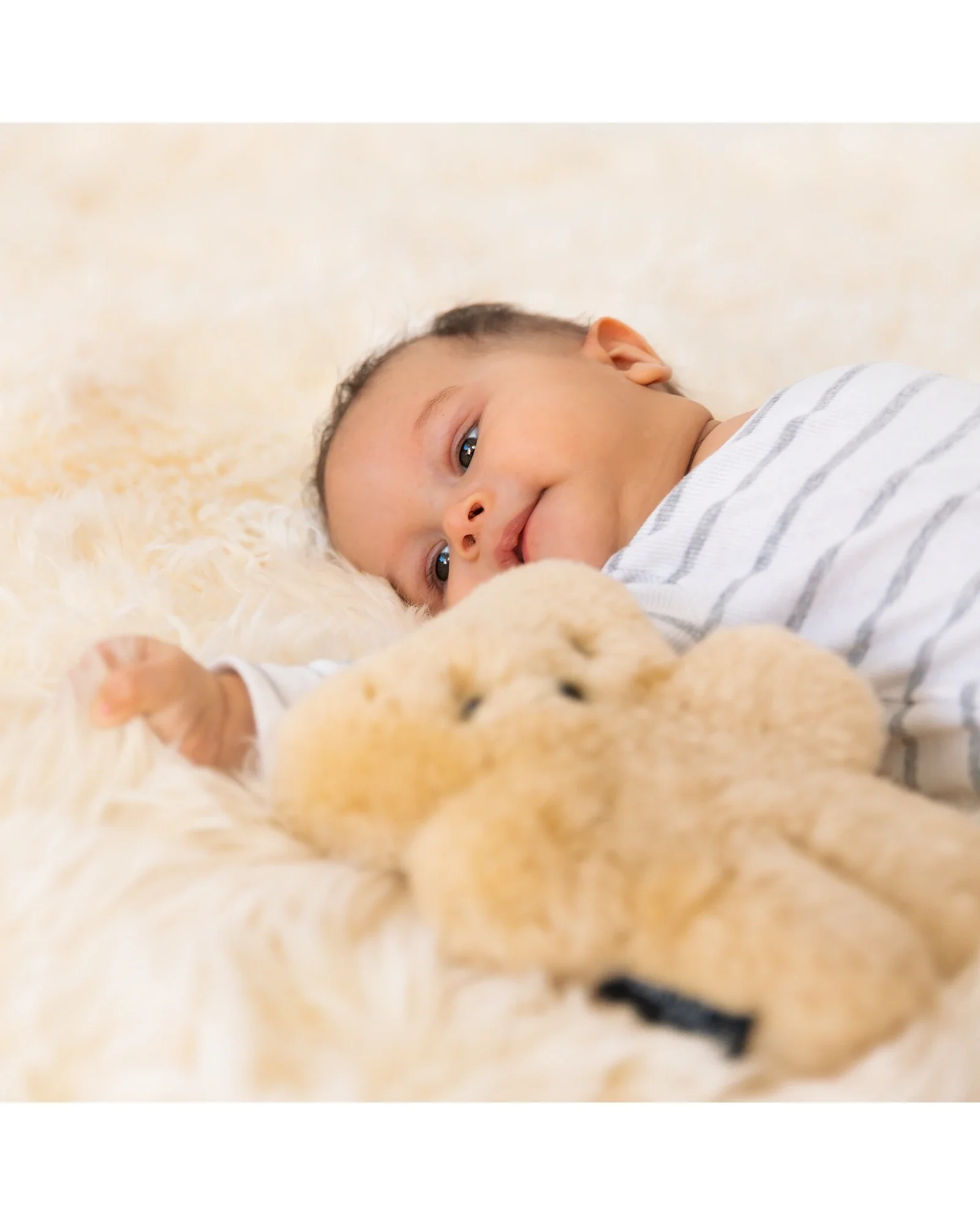 FLATOUTbear Baby Honey - Image 4