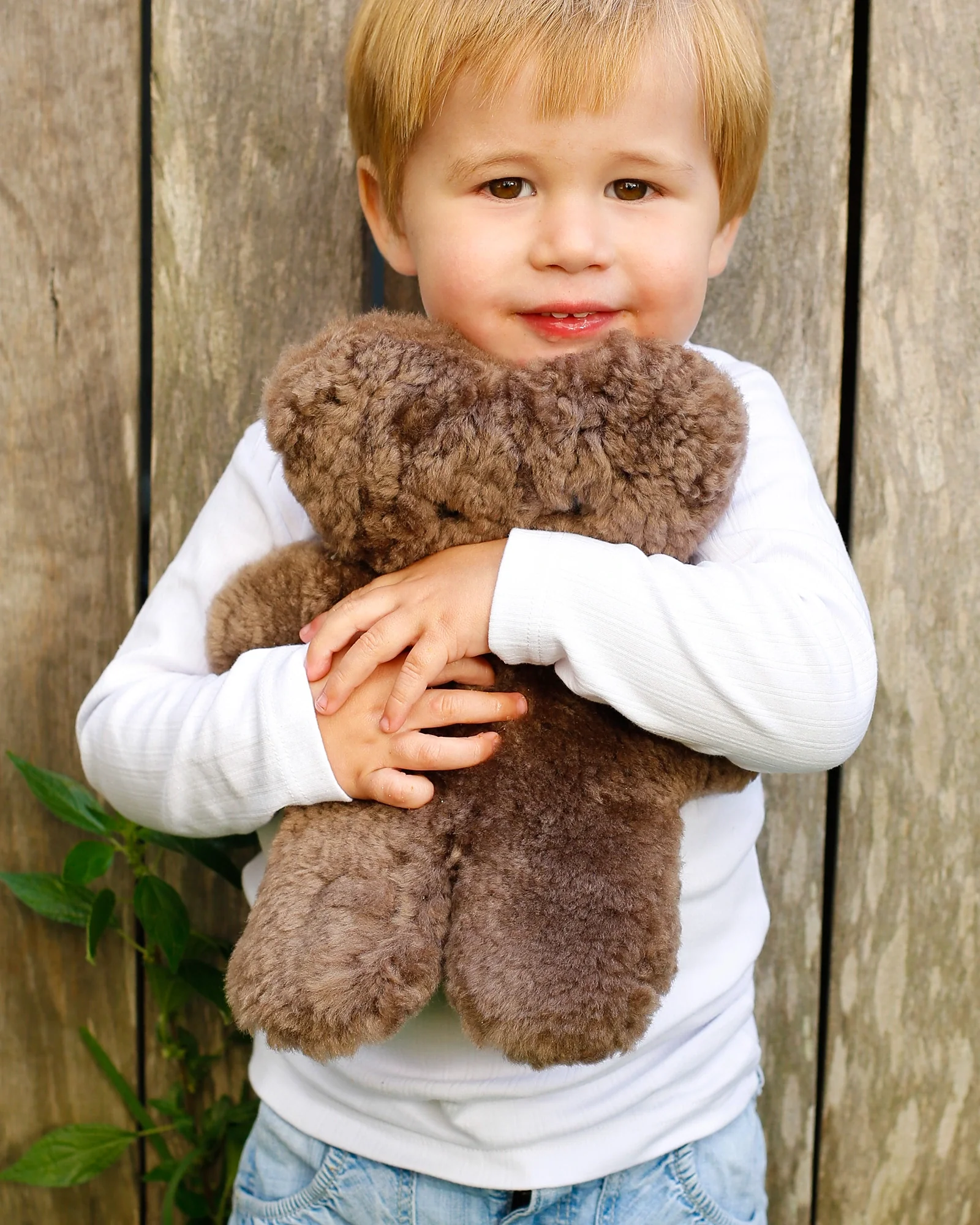 FLATOUTbear Chocolate - Image 4
