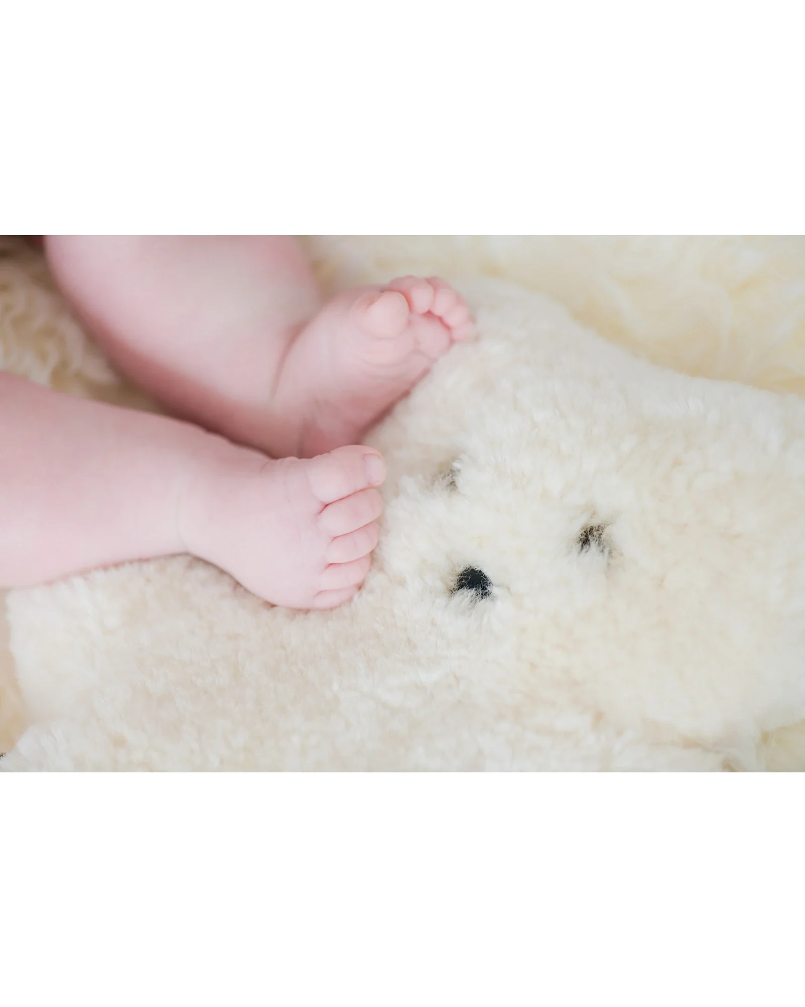 FLATOUTbear Milk - Image 3