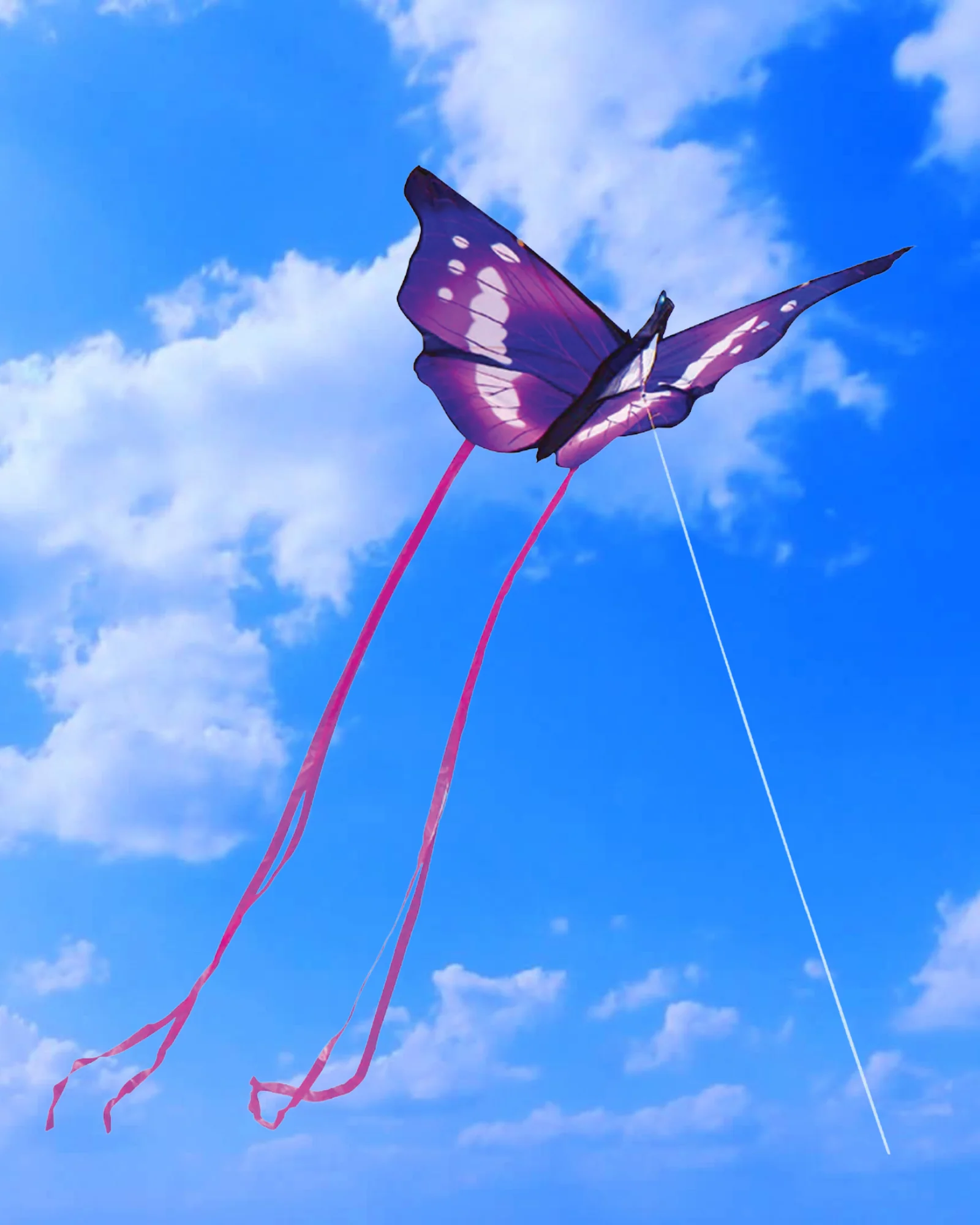 Butterfly Kite