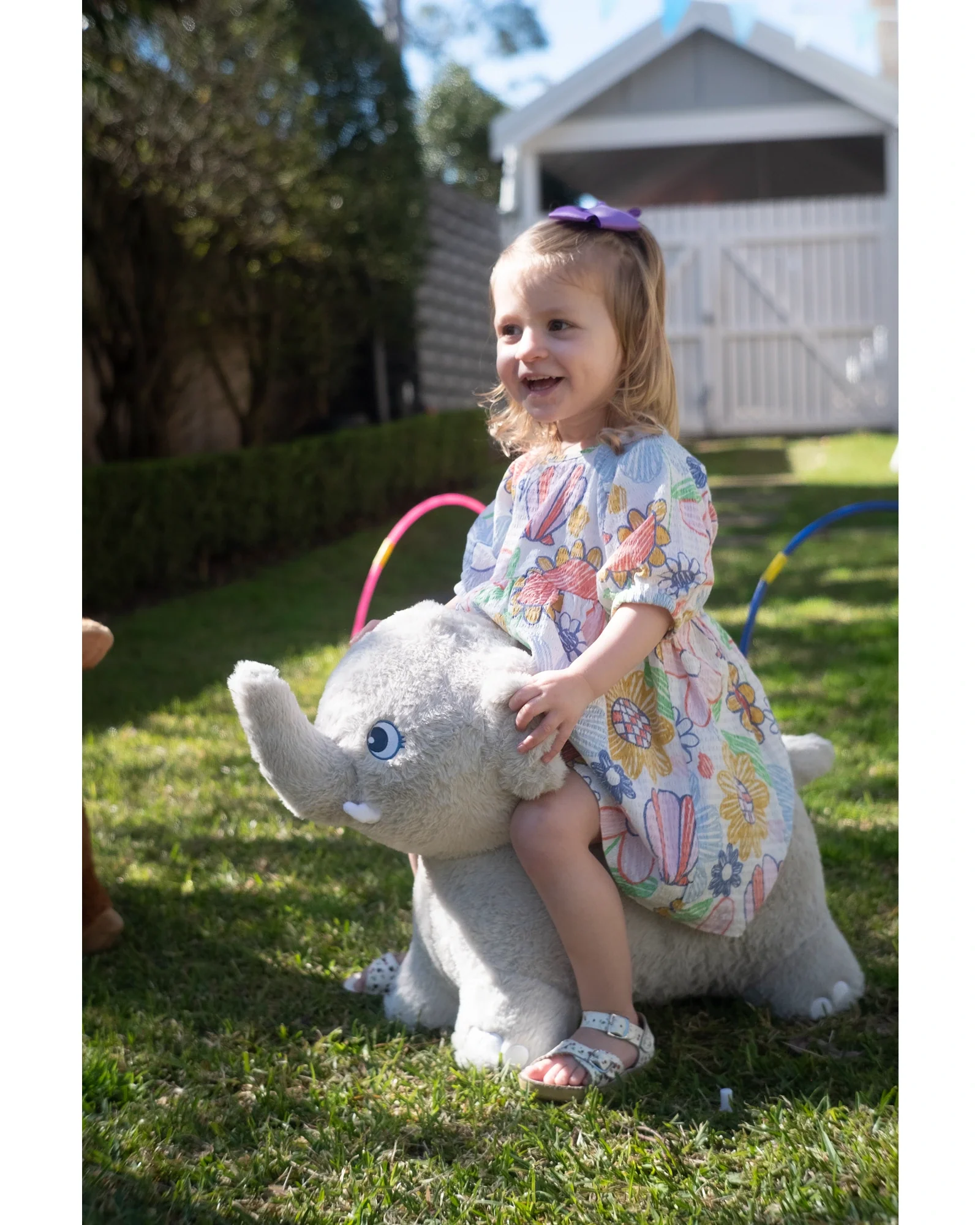 Elephant Hopper