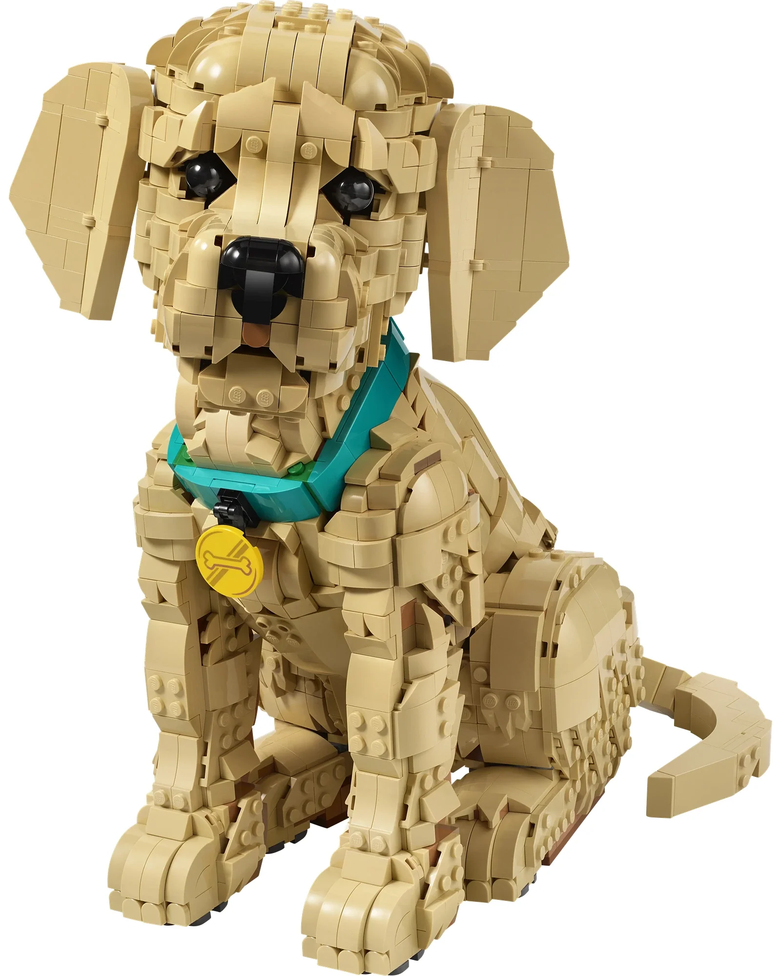 11384 Golden Retriever Puppy - Image 3