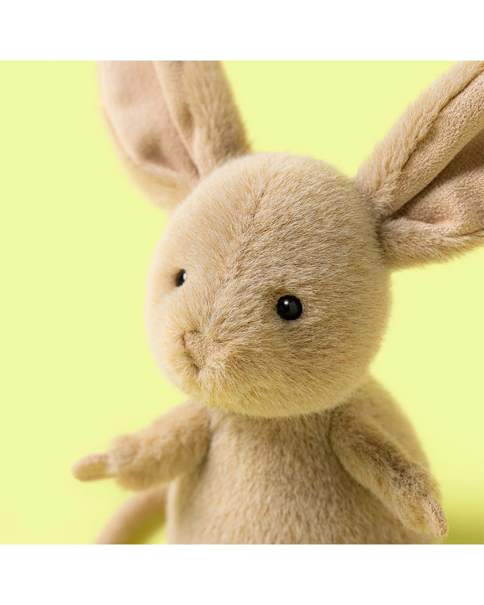 Jerboa - Image 2