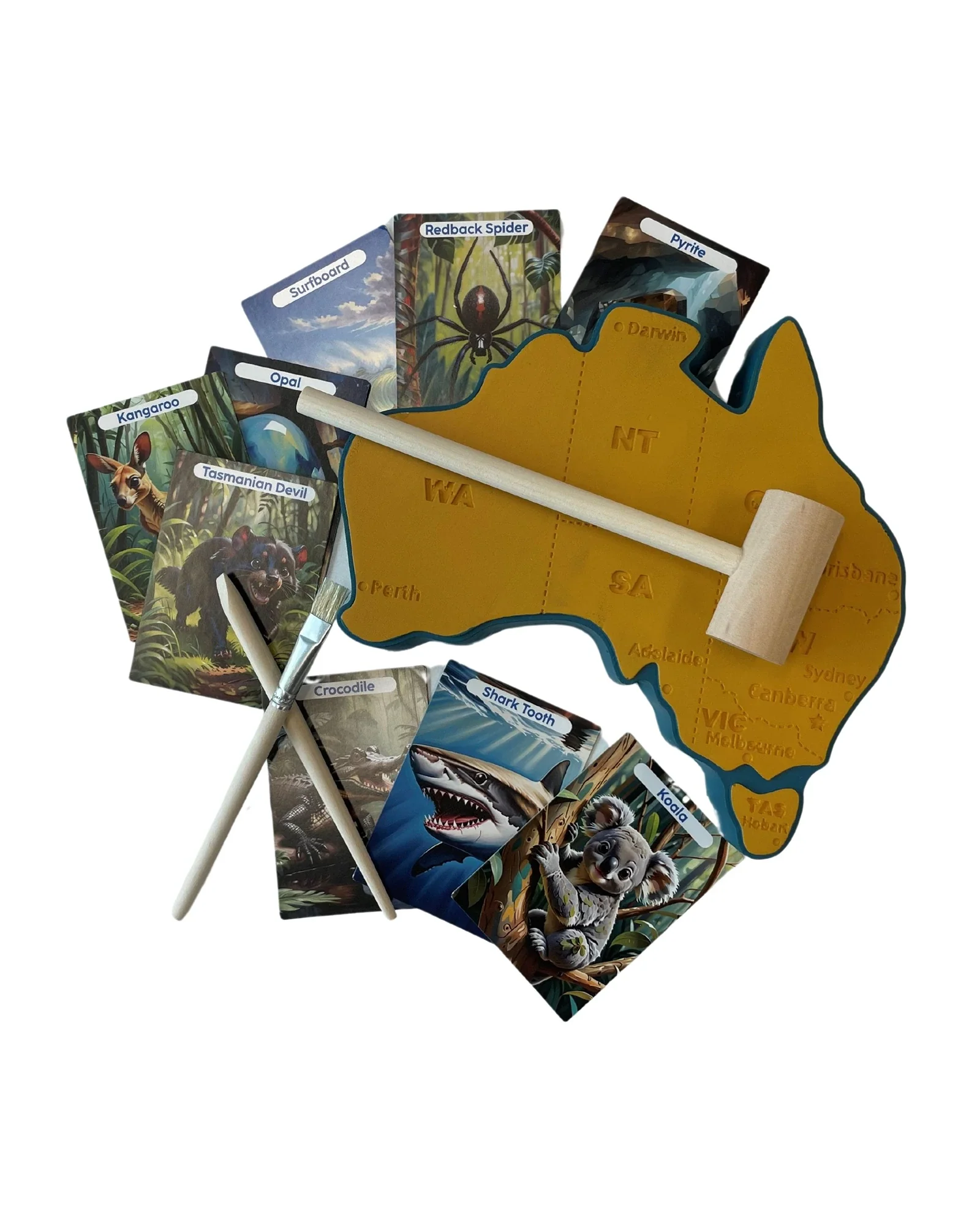 Johnco Dig Kit Explore Australia - Image 9