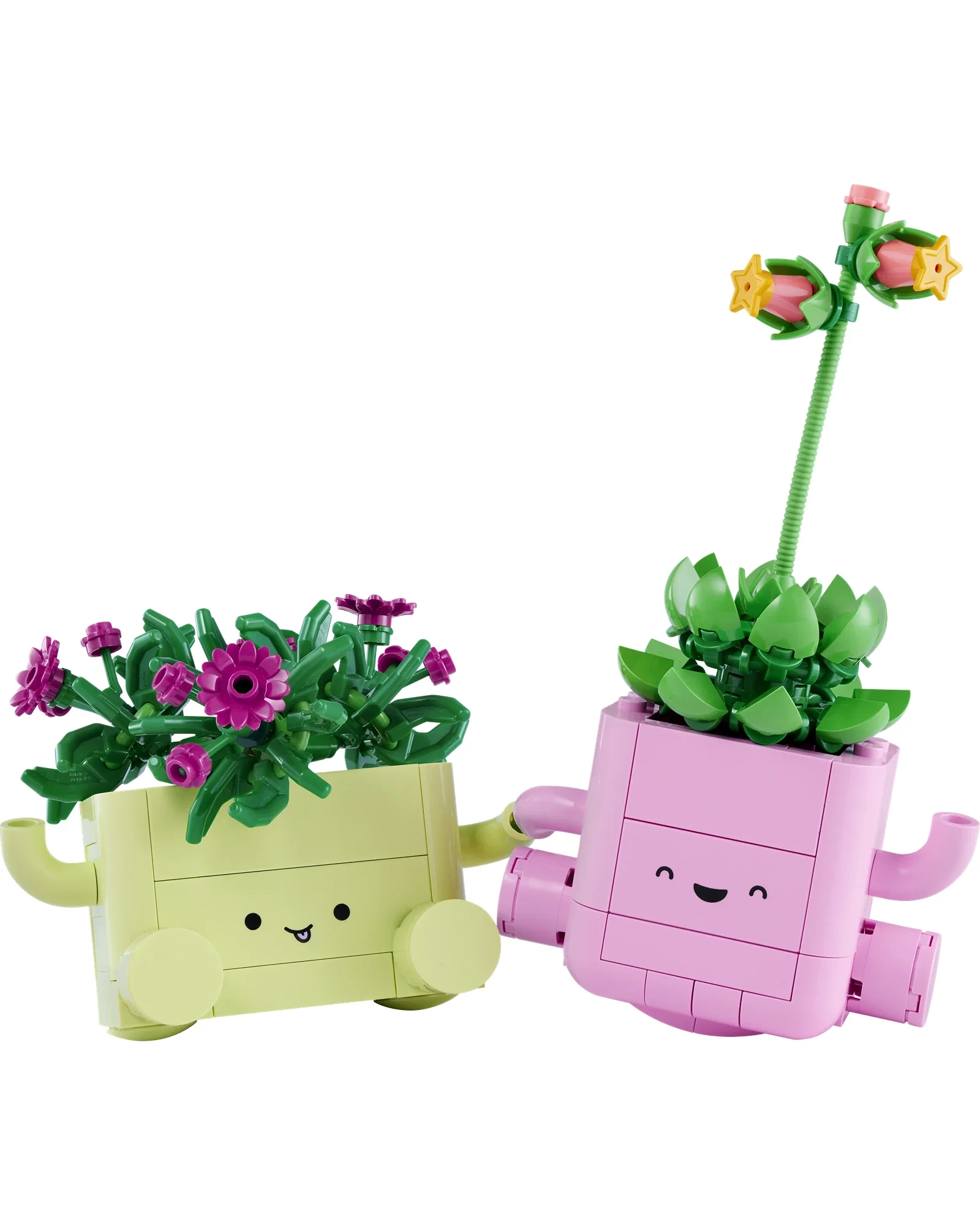 11506 Rocking Plants - Image 4