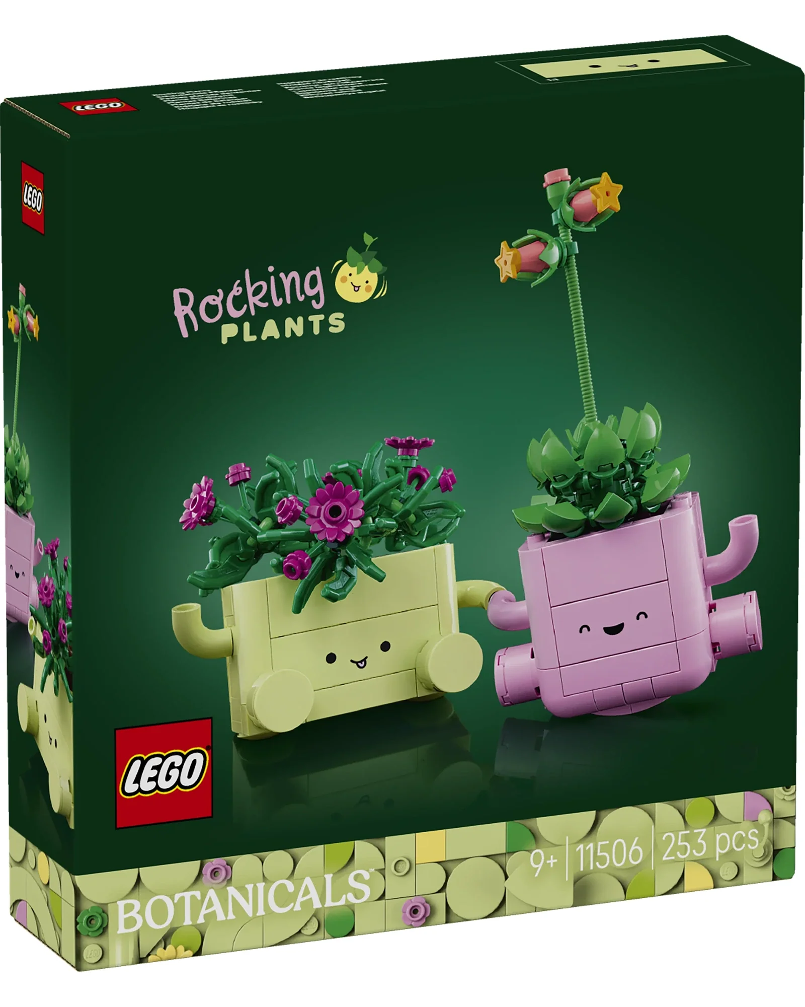 11506 Rocking Plants - Image 6