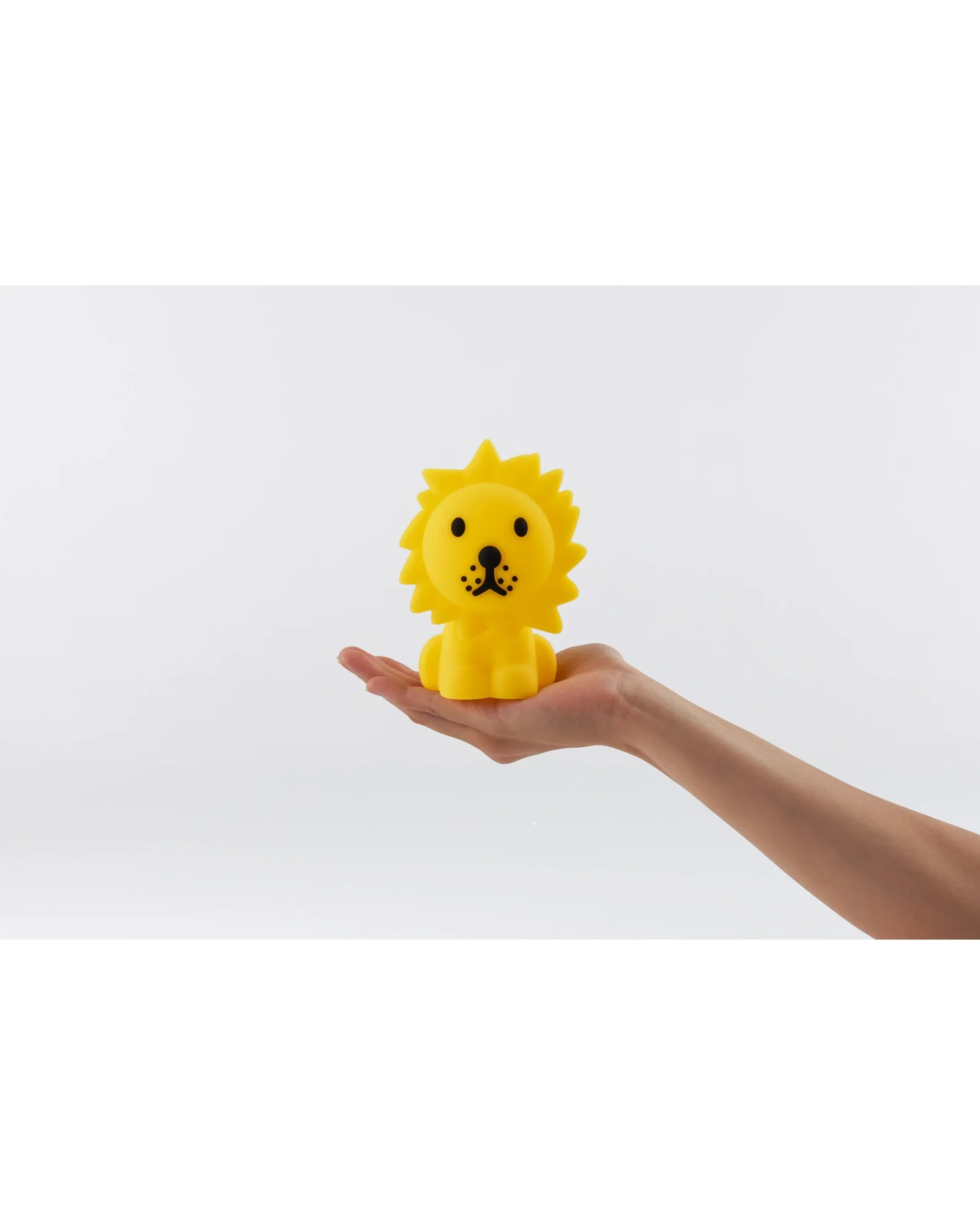 Lion Bundle of Light - Image 2
