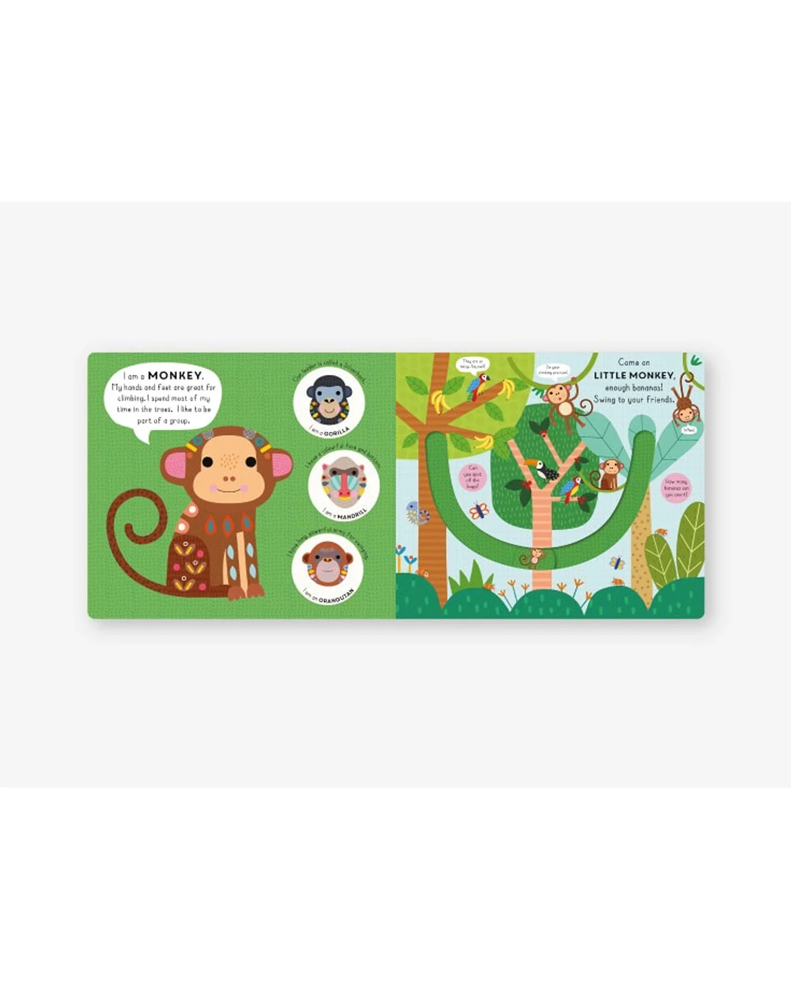 Little Journeys - Little Tiger - Image 2