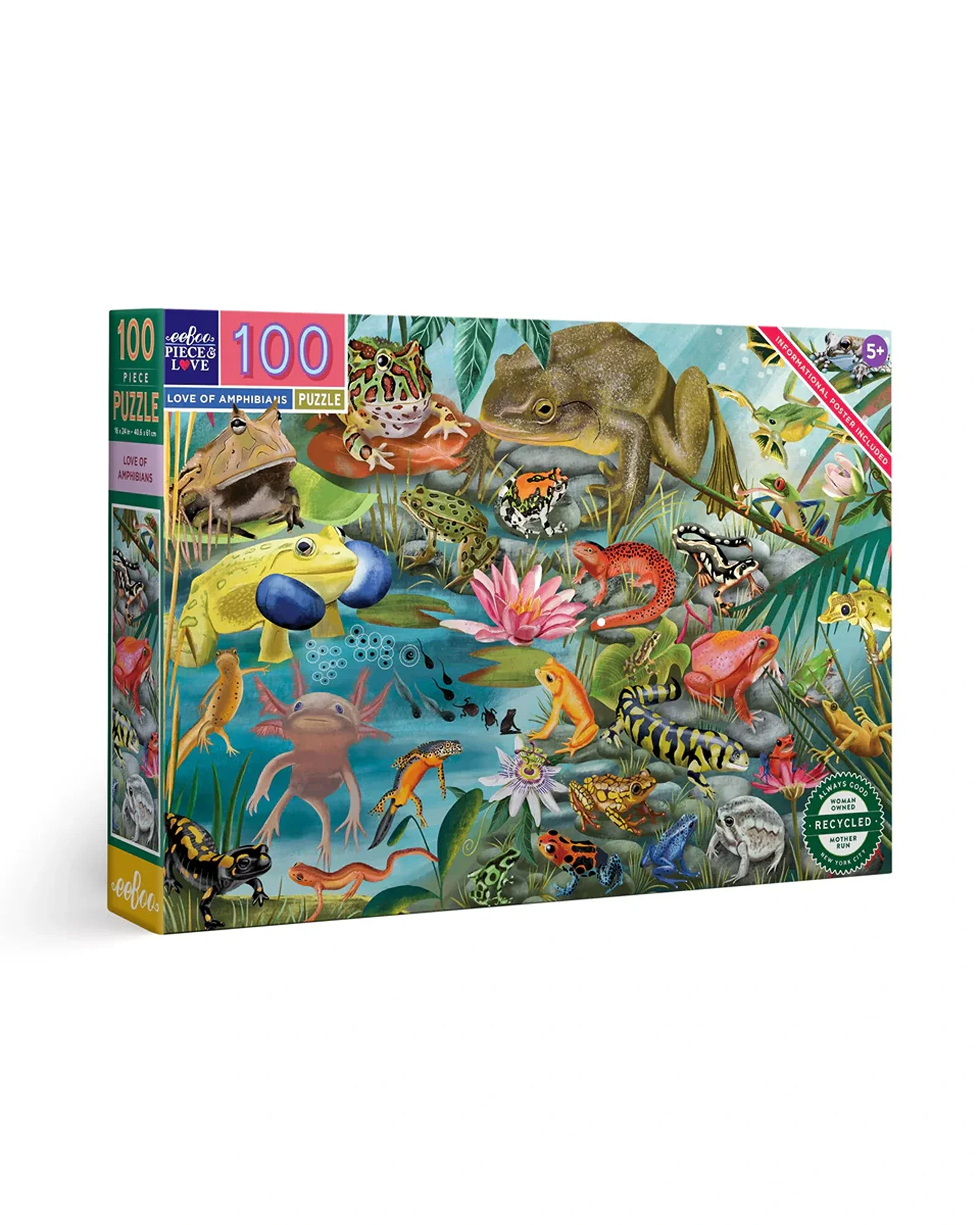 Love of Amphibians 100PC