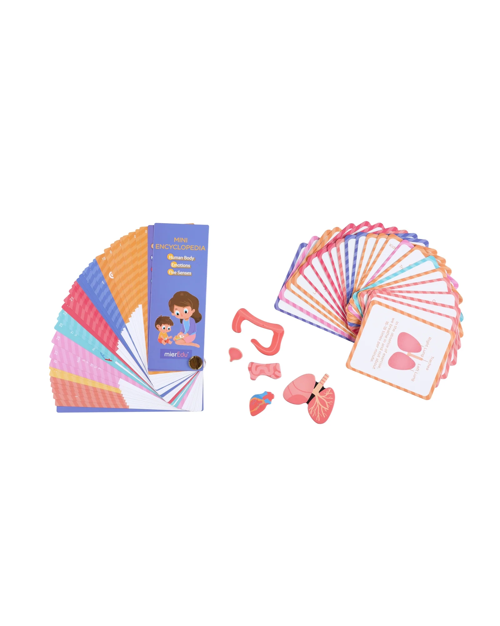 Magnetic Kit -My Body + Emotion - Image 10