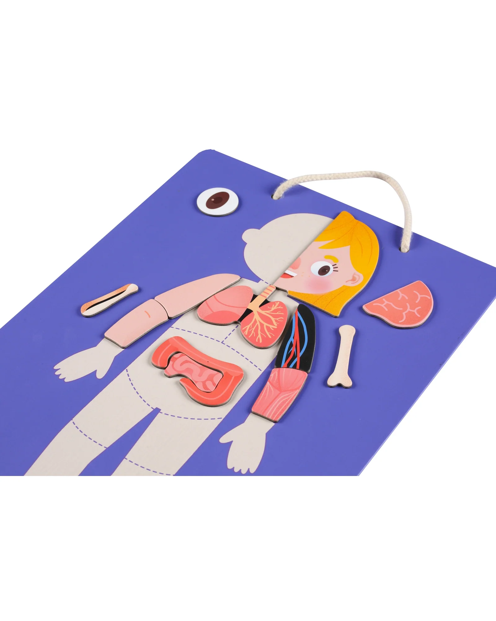 Magnetic Kit -My Body + Emotion - Image 14