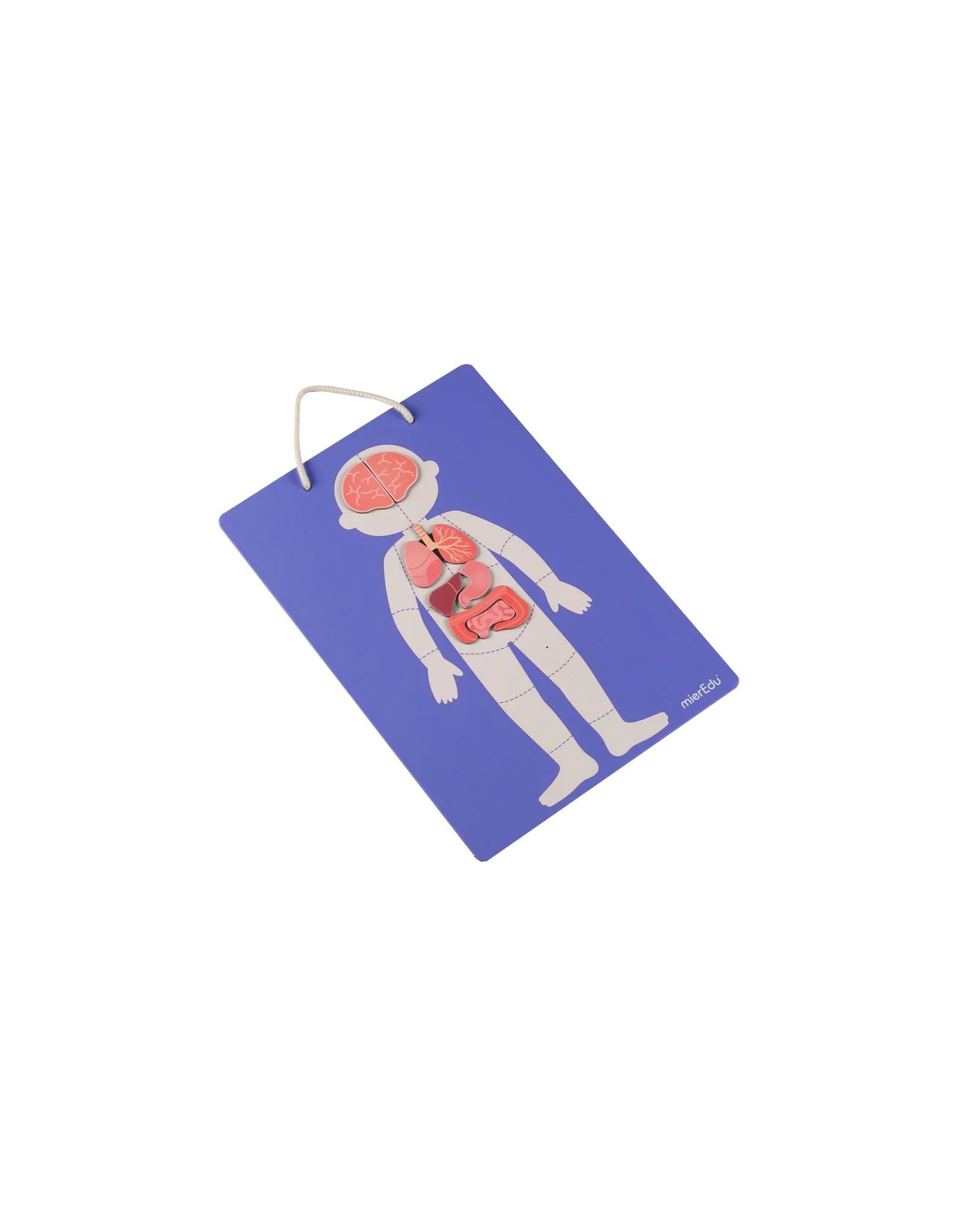 Magnetic Kit -My Body + Emotion - Image 3