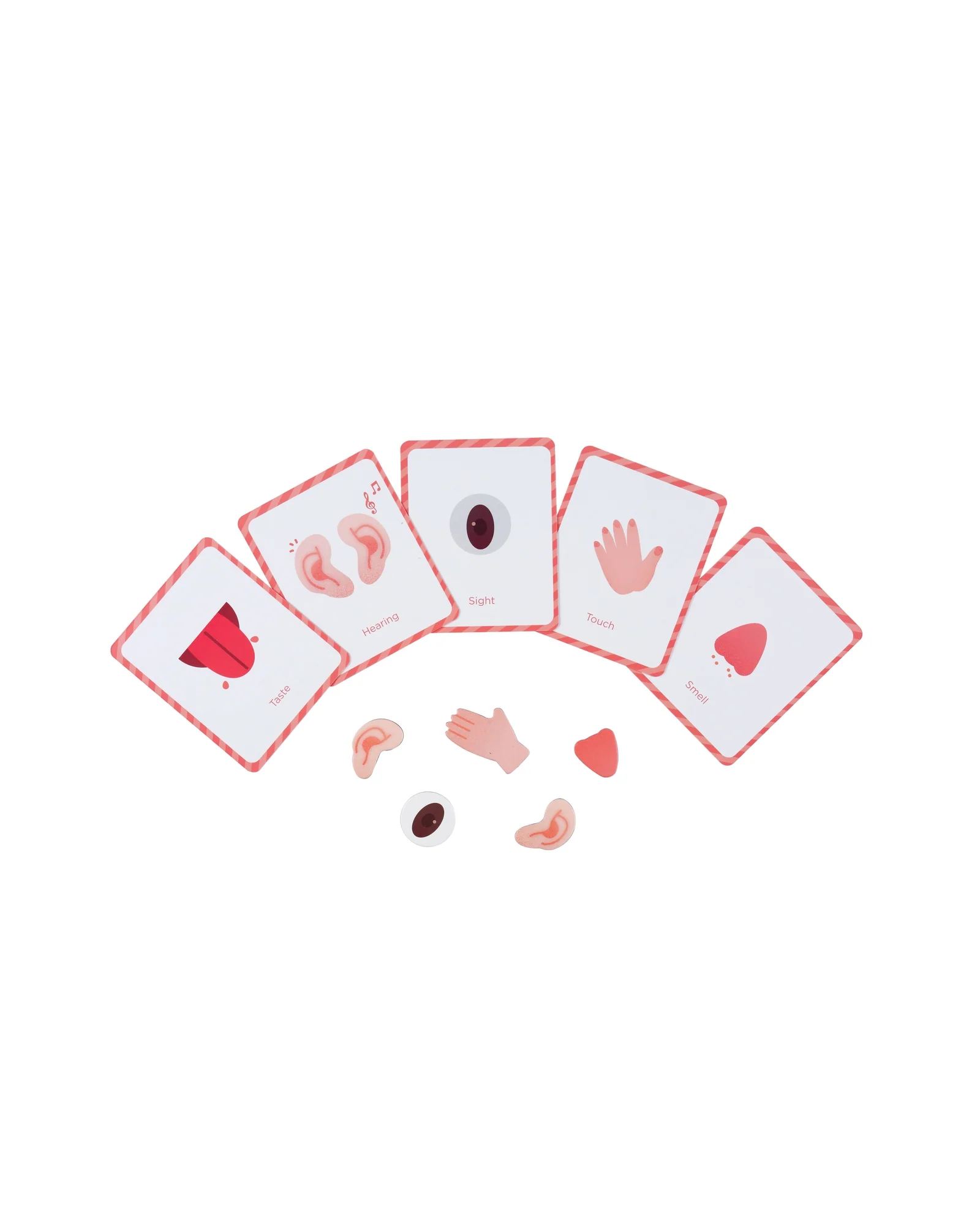Magnetic Kit -My Body + Emotion - Image 4