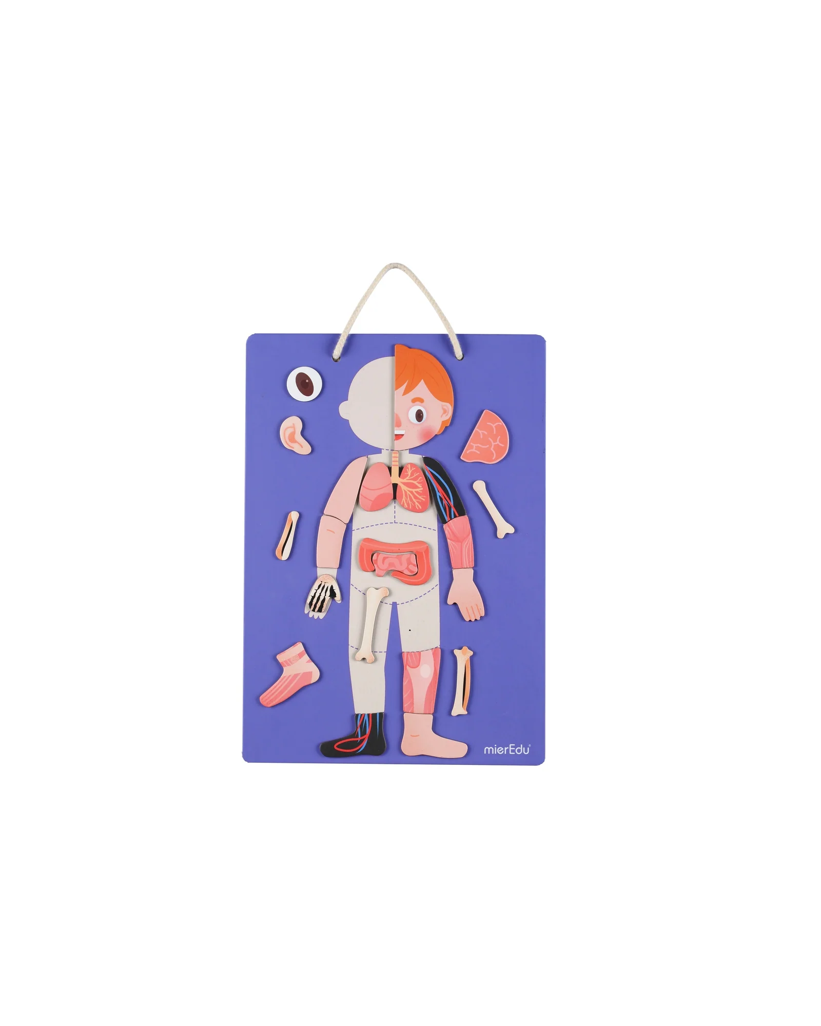 Magnetic Kit -My Body + Emotion - Image 9
