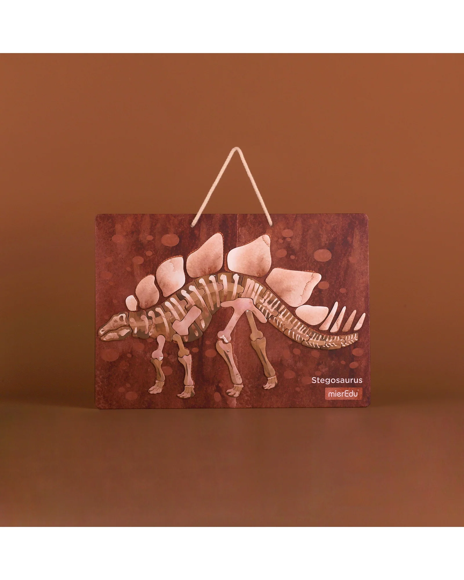 Magnetic Kit-All About Dinosaurs - Image 3