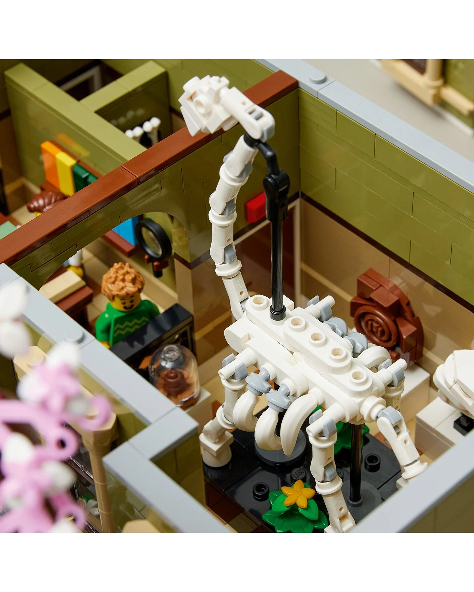 10326 Natural History Museum - Image 3