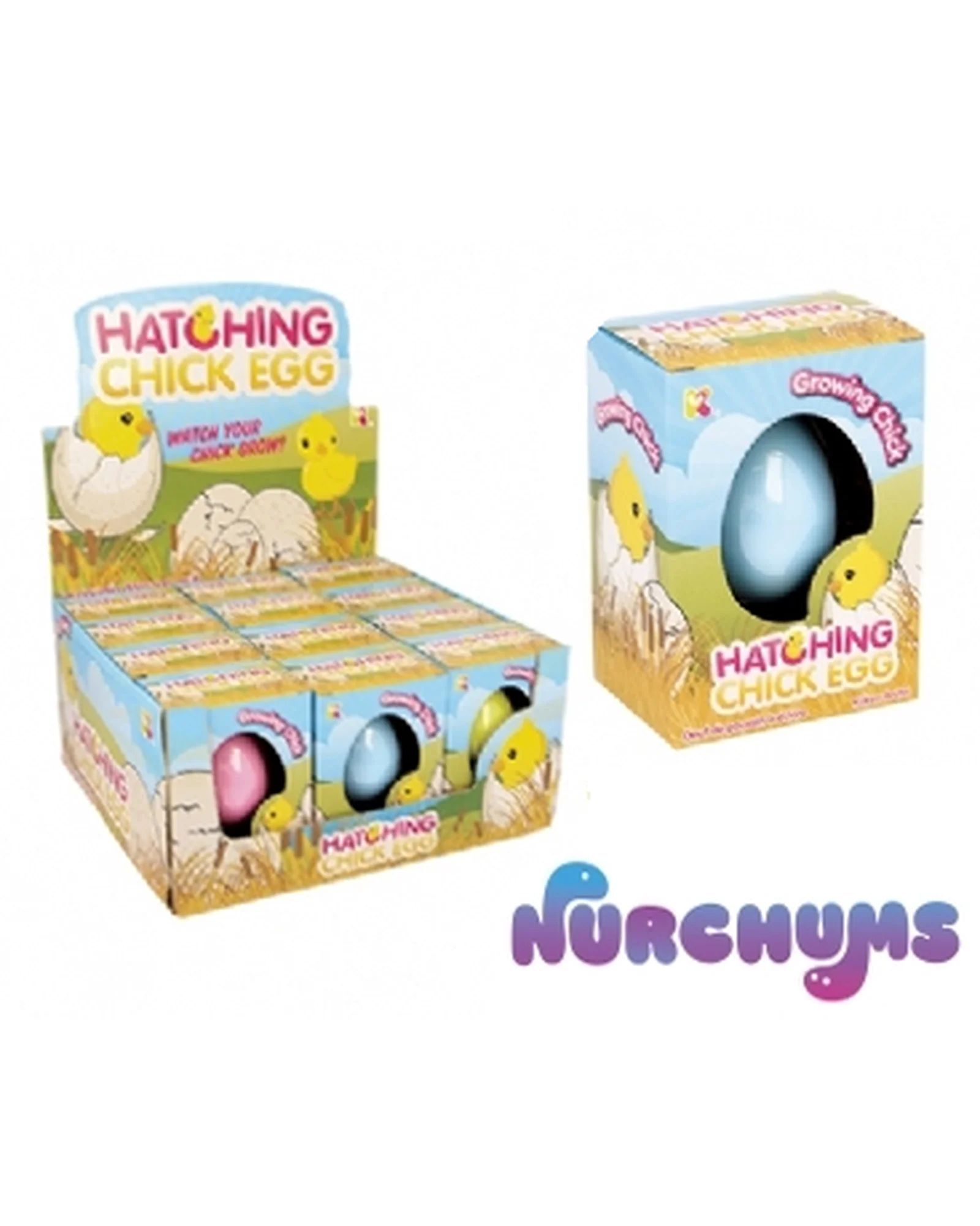 Small Chick Hatching Eggs - Image 2