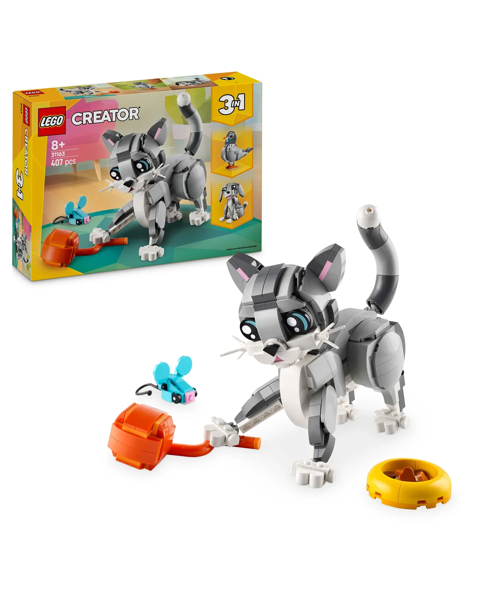 31163 Playful Cat