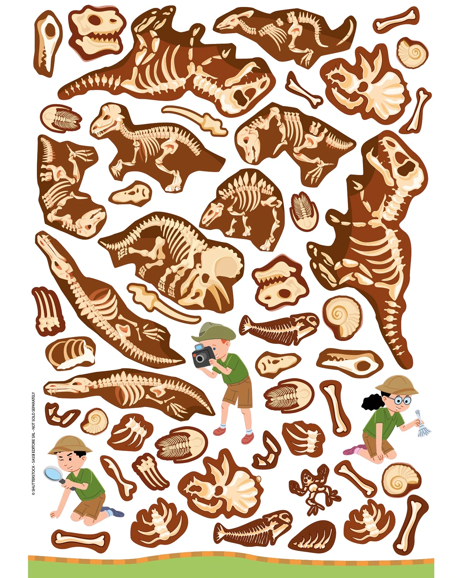 Sassi Arts and Crafts Dinosaurs - Image 11