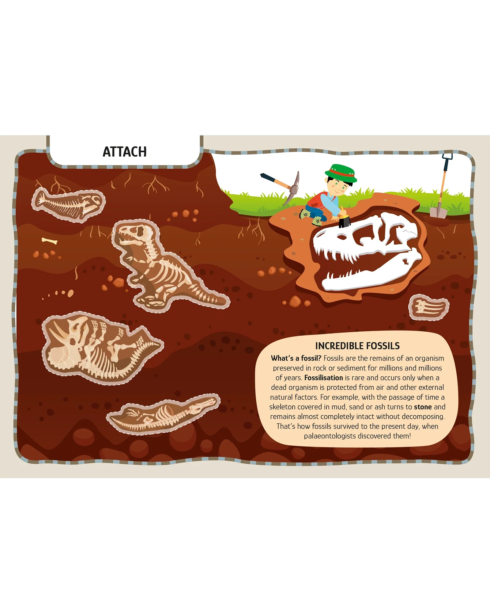 Sassi Arts and Crafts Dinosaurs - Image 7