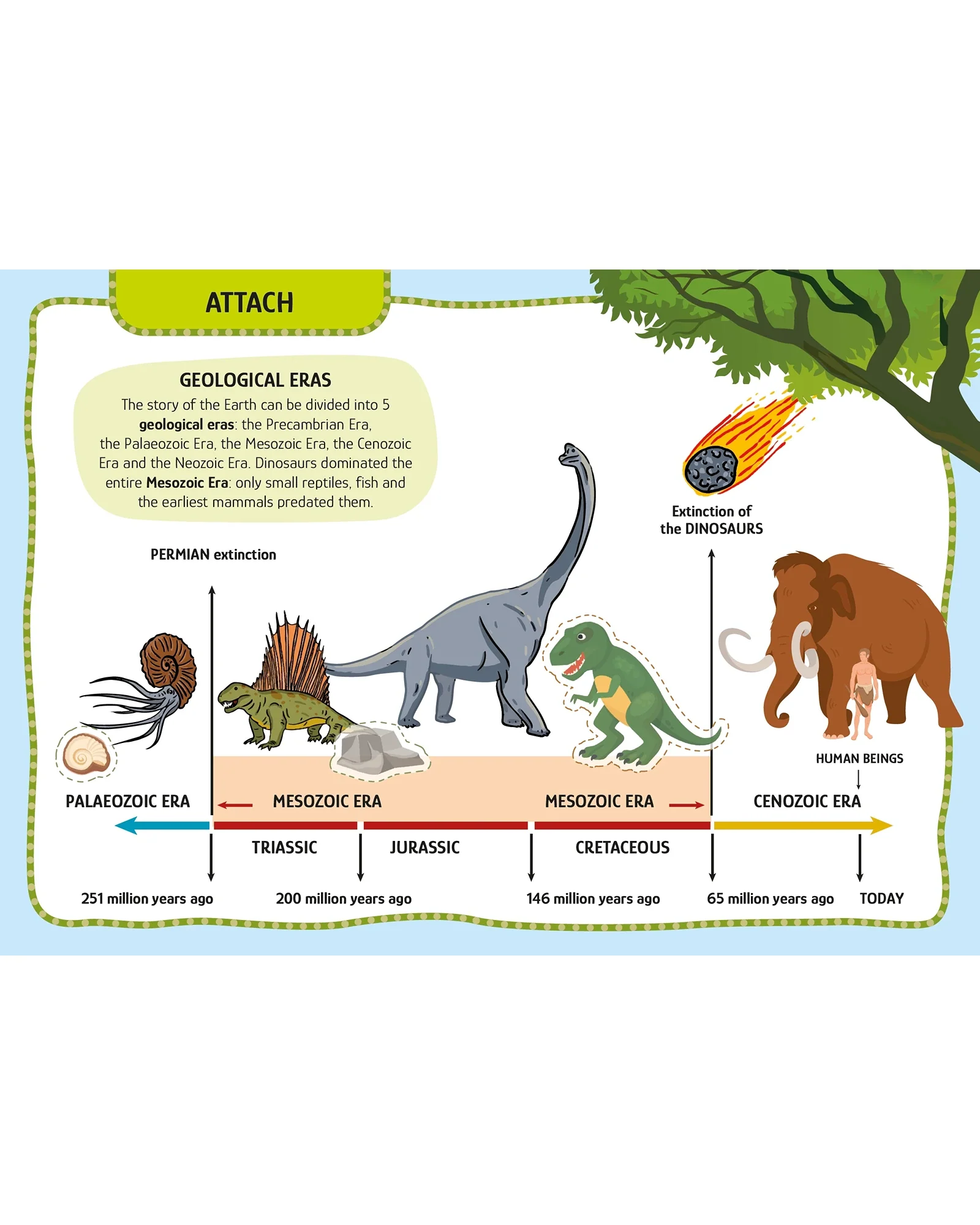 Sassi Arts and Crafts Dinosaurs - Image 9