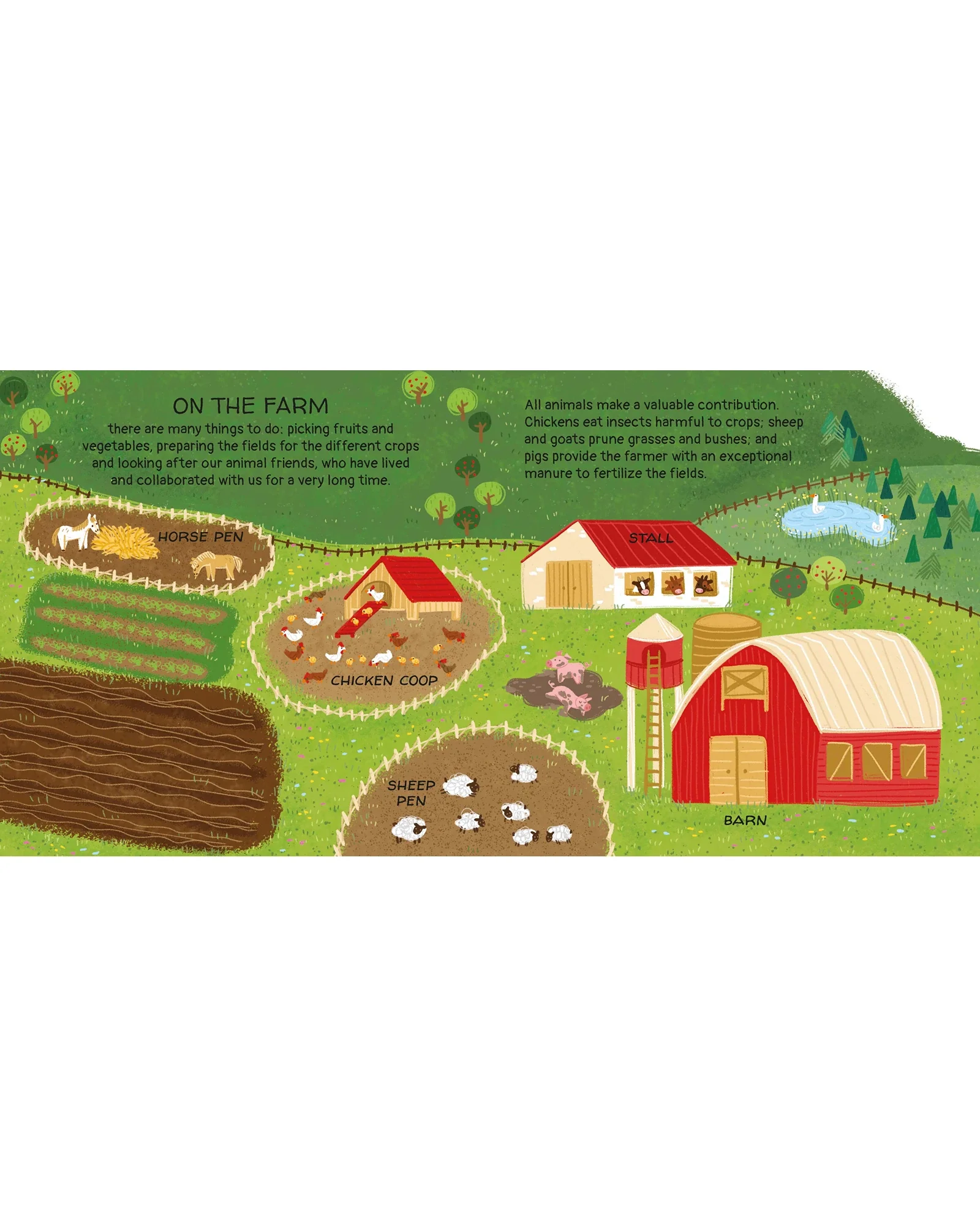 Sassi Games On the Farm - Image 2