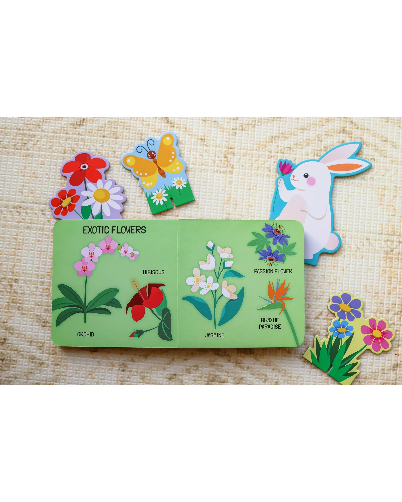 Sassi Learn all about The Flowers 3D Puzzle and Book Set 40 Pieces - Image 11