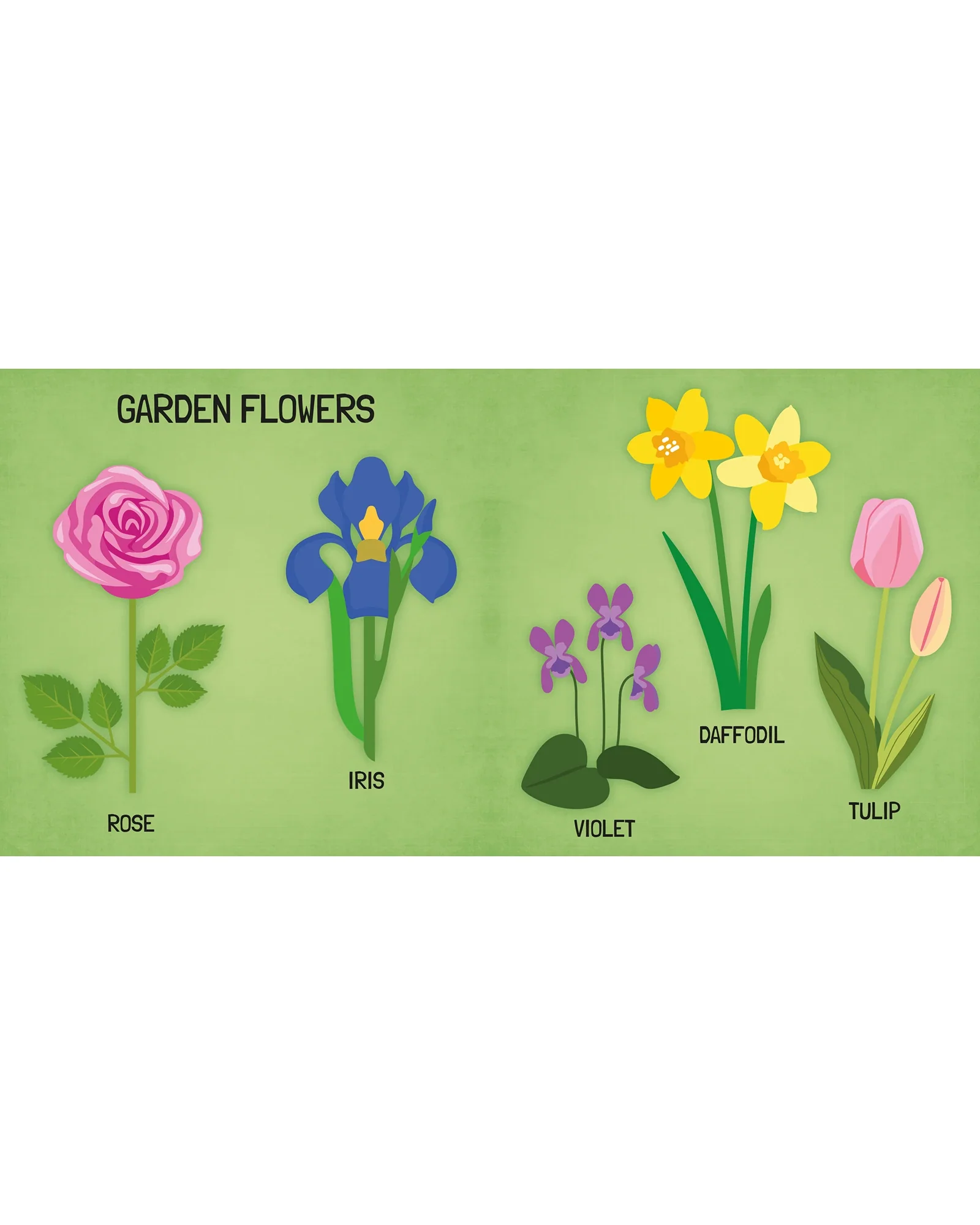 Sassi Learn all about The Flowers 3D Puzzle and Book Set 40 Pieces - Image 5