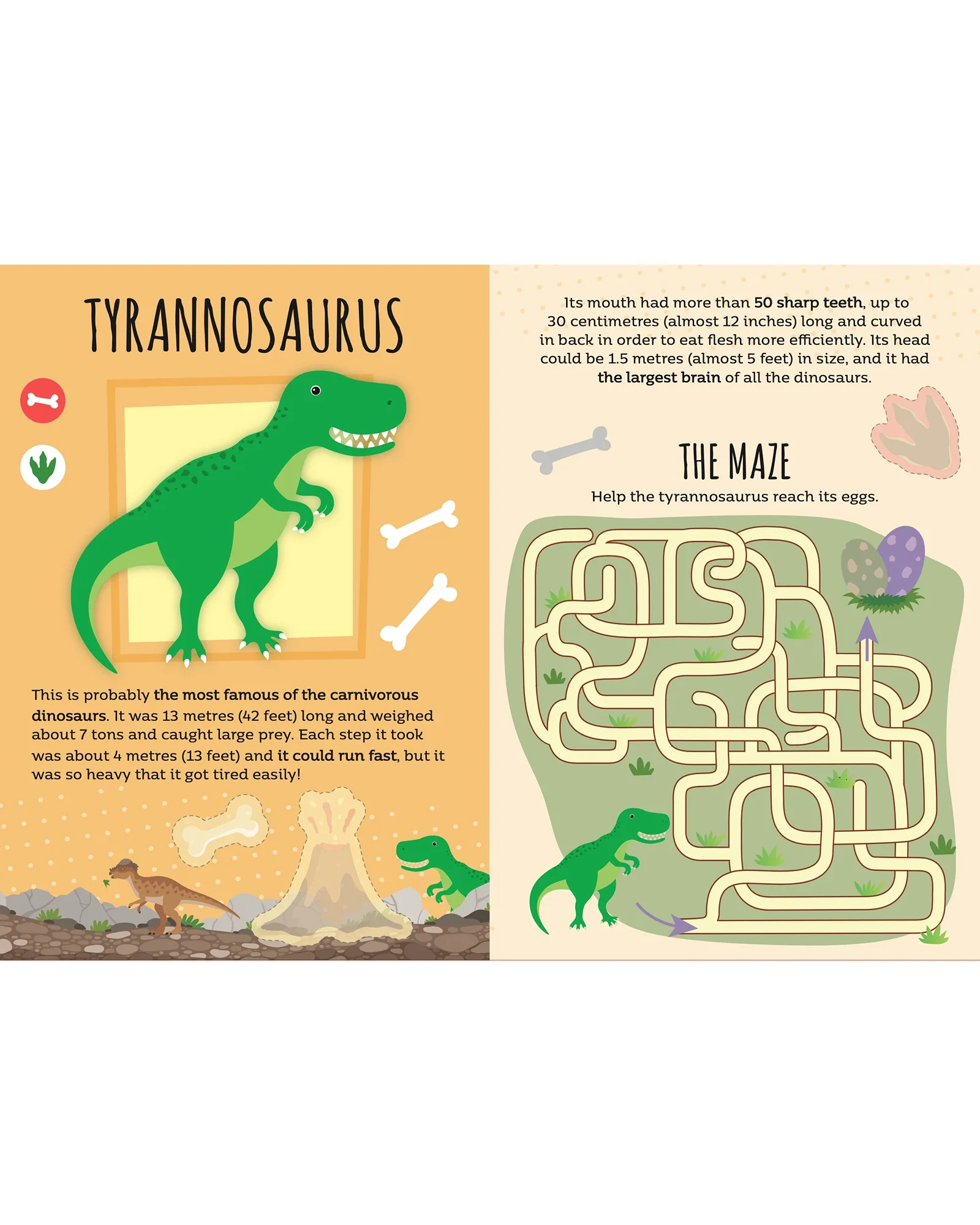 Sassi Mega Arts and Crafts Dinosaurs - Image 12