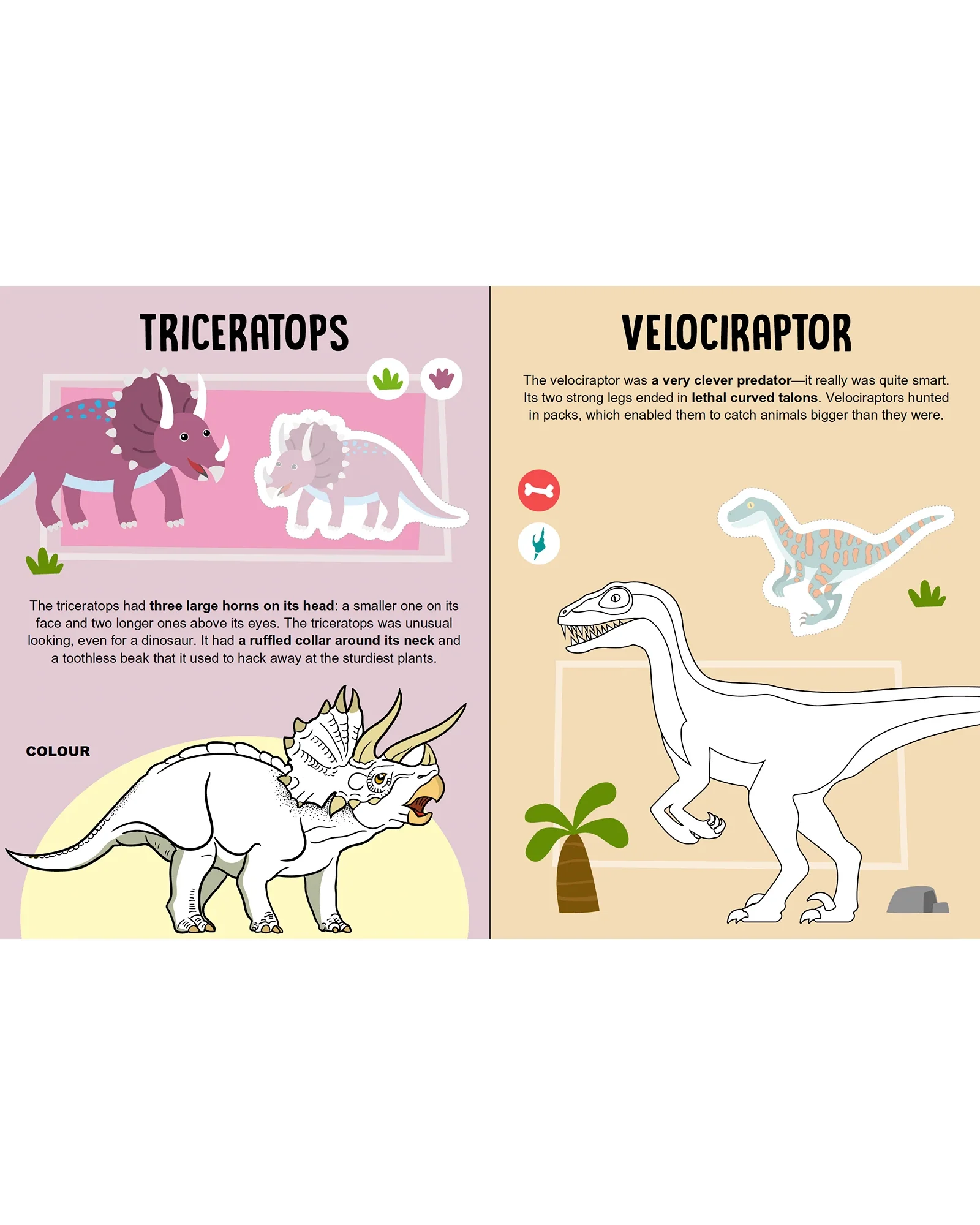 Sassi Mega Arts and Crafts Dinosaurs - Image 14