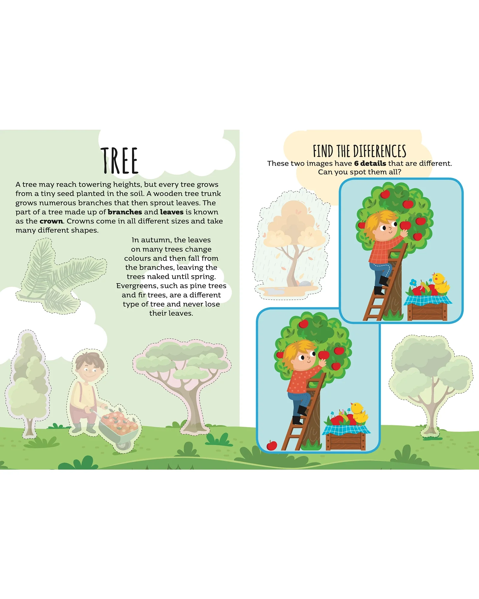 Sassi Sticker and Activity Book Nature - Image 2