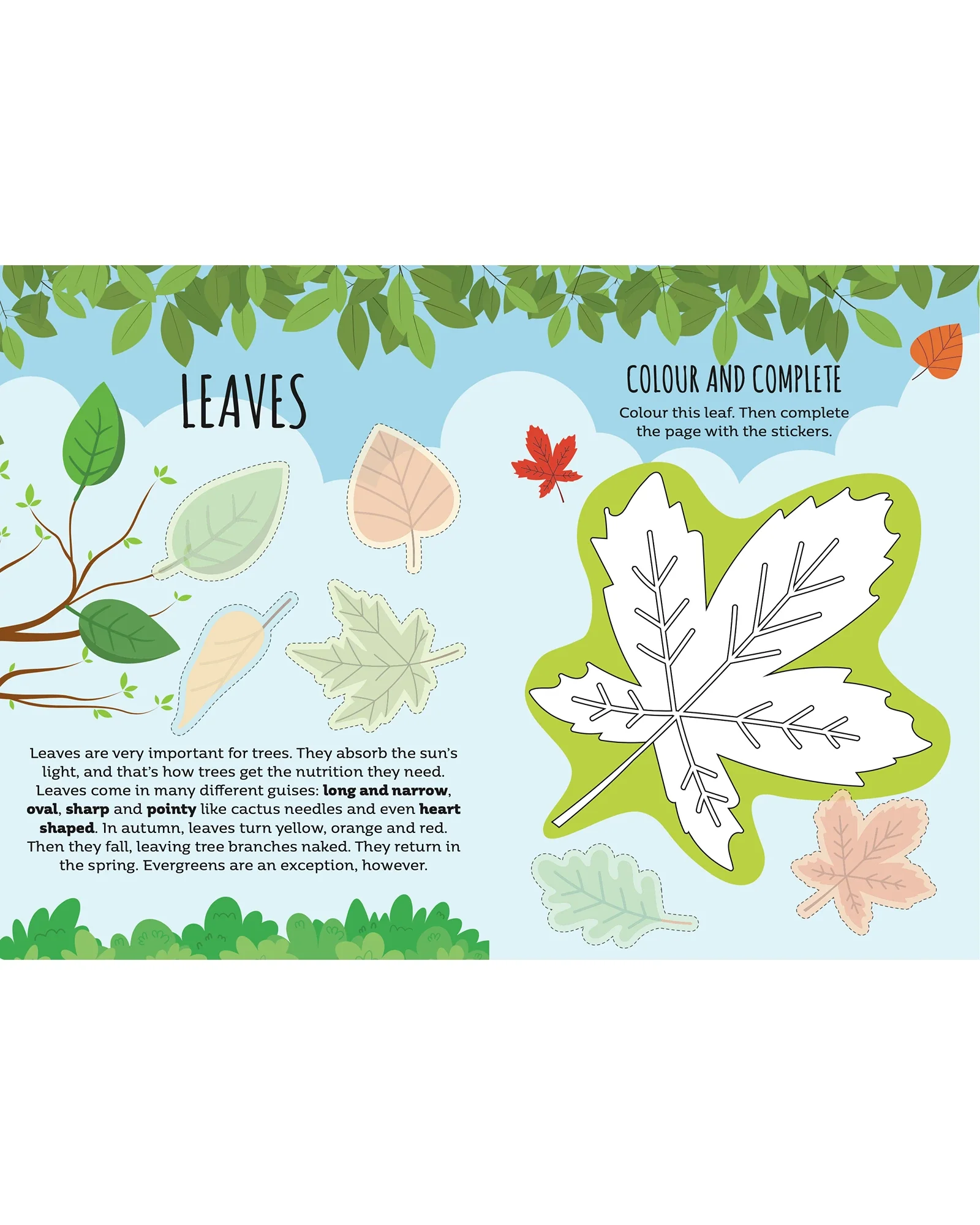 Sassi Sticker and Activity Book Nature - Image 3