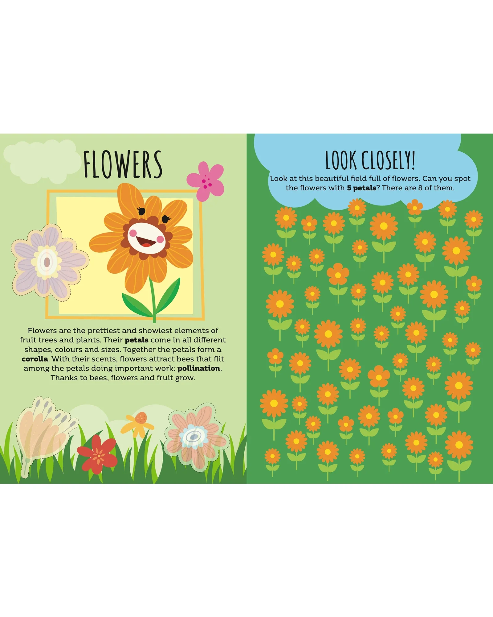 Sassi Sticker and Activity Book Nature - Image 4